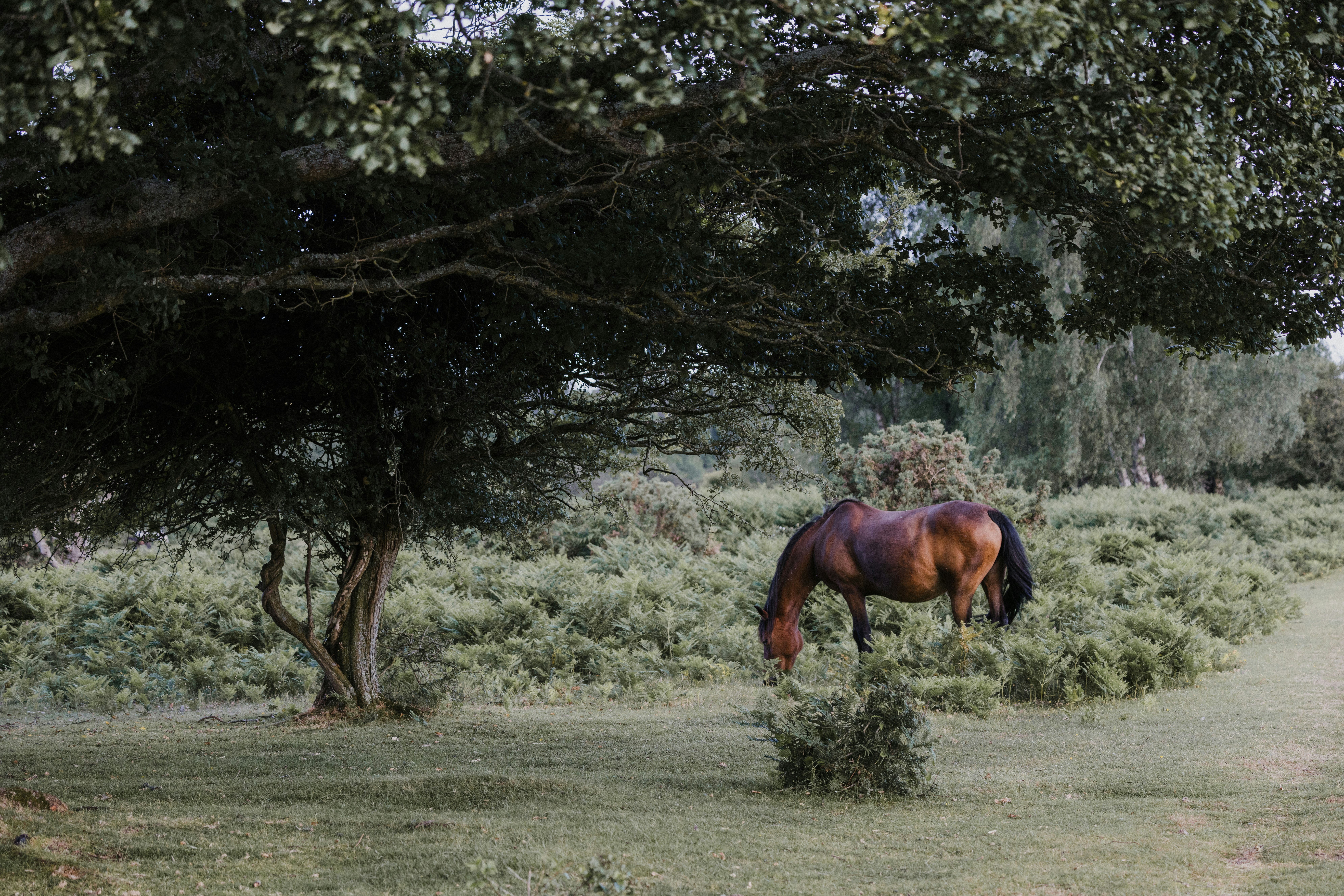 Photo by anniespratt