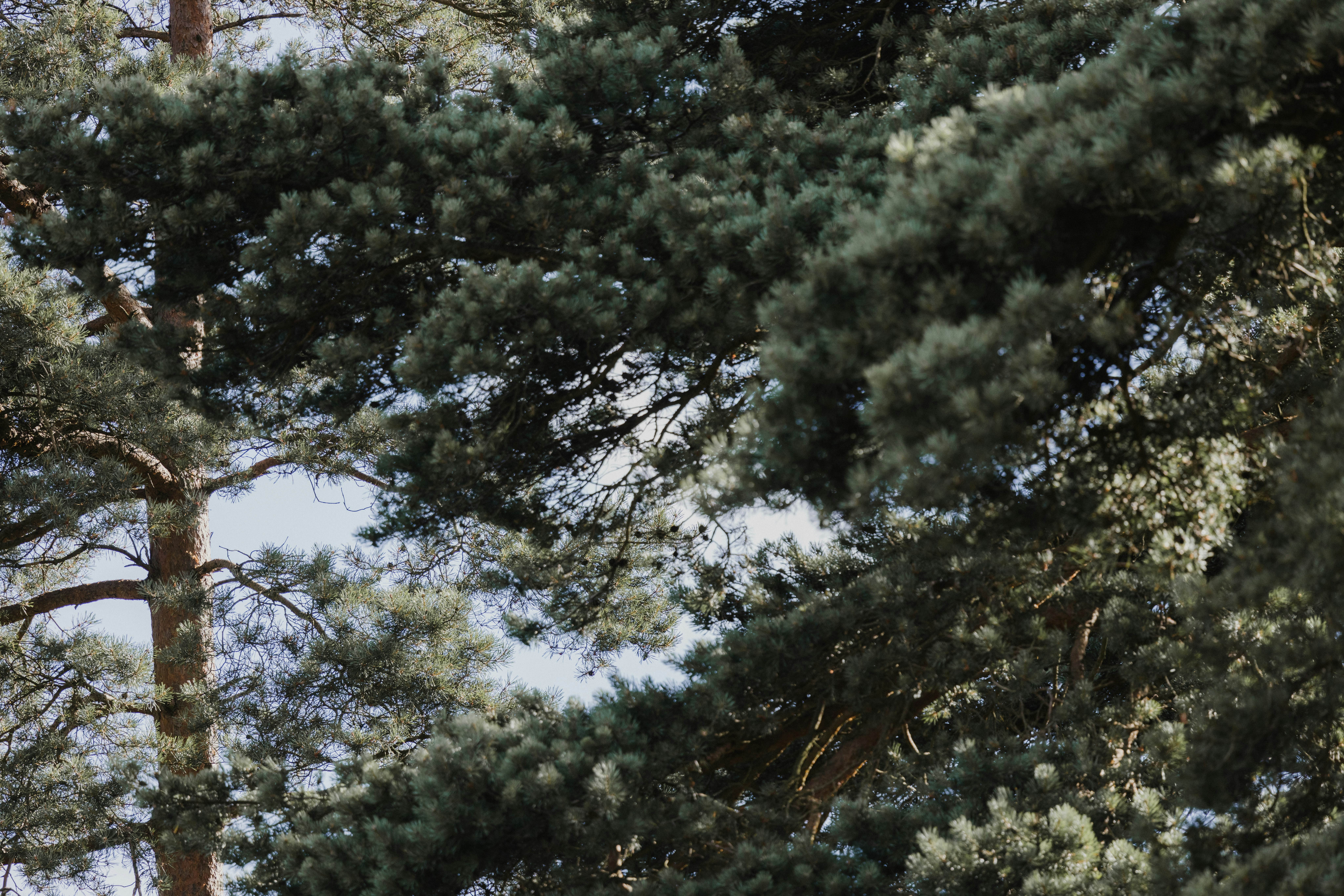 Photo by anniespratt