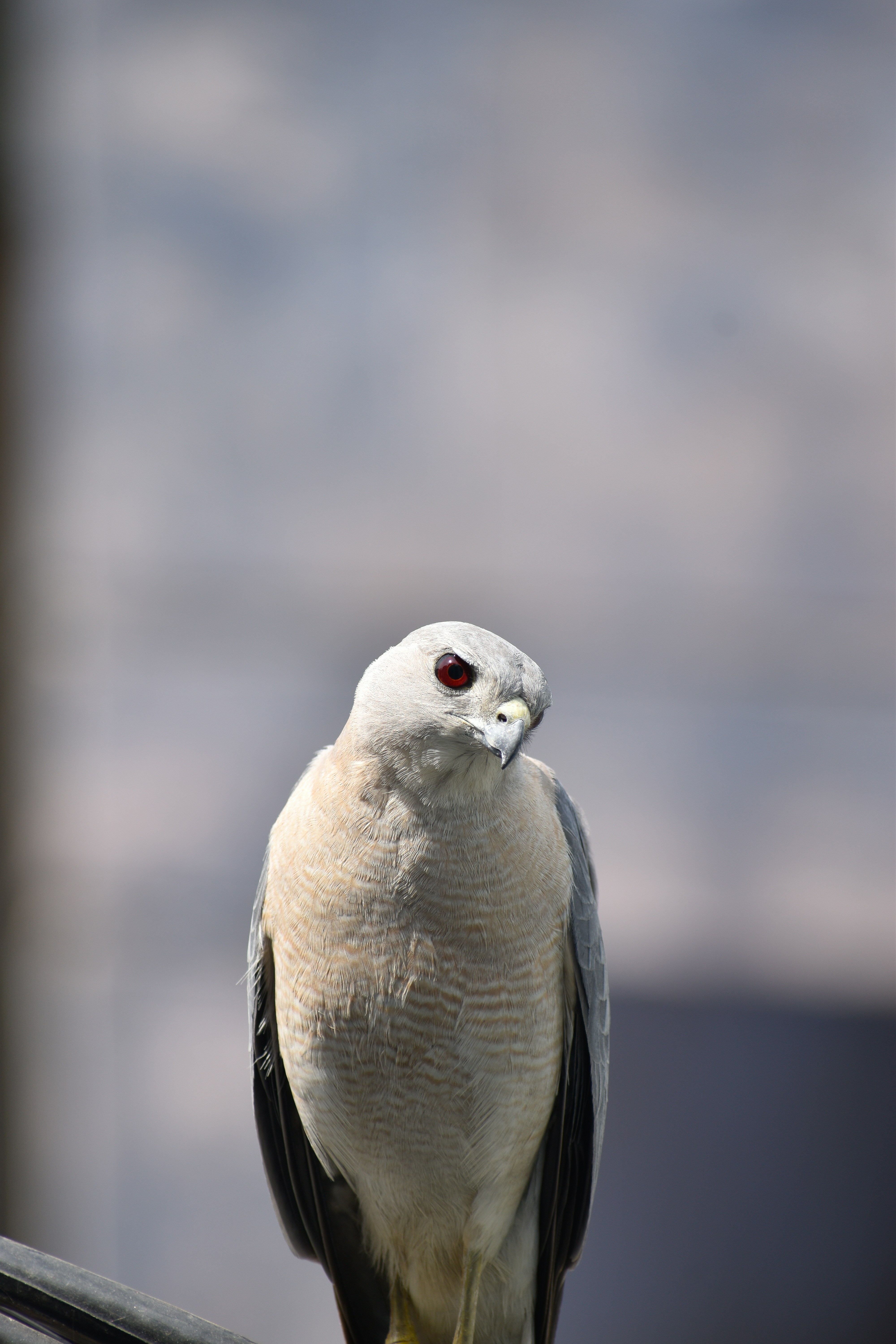 Photo by drofficial_96