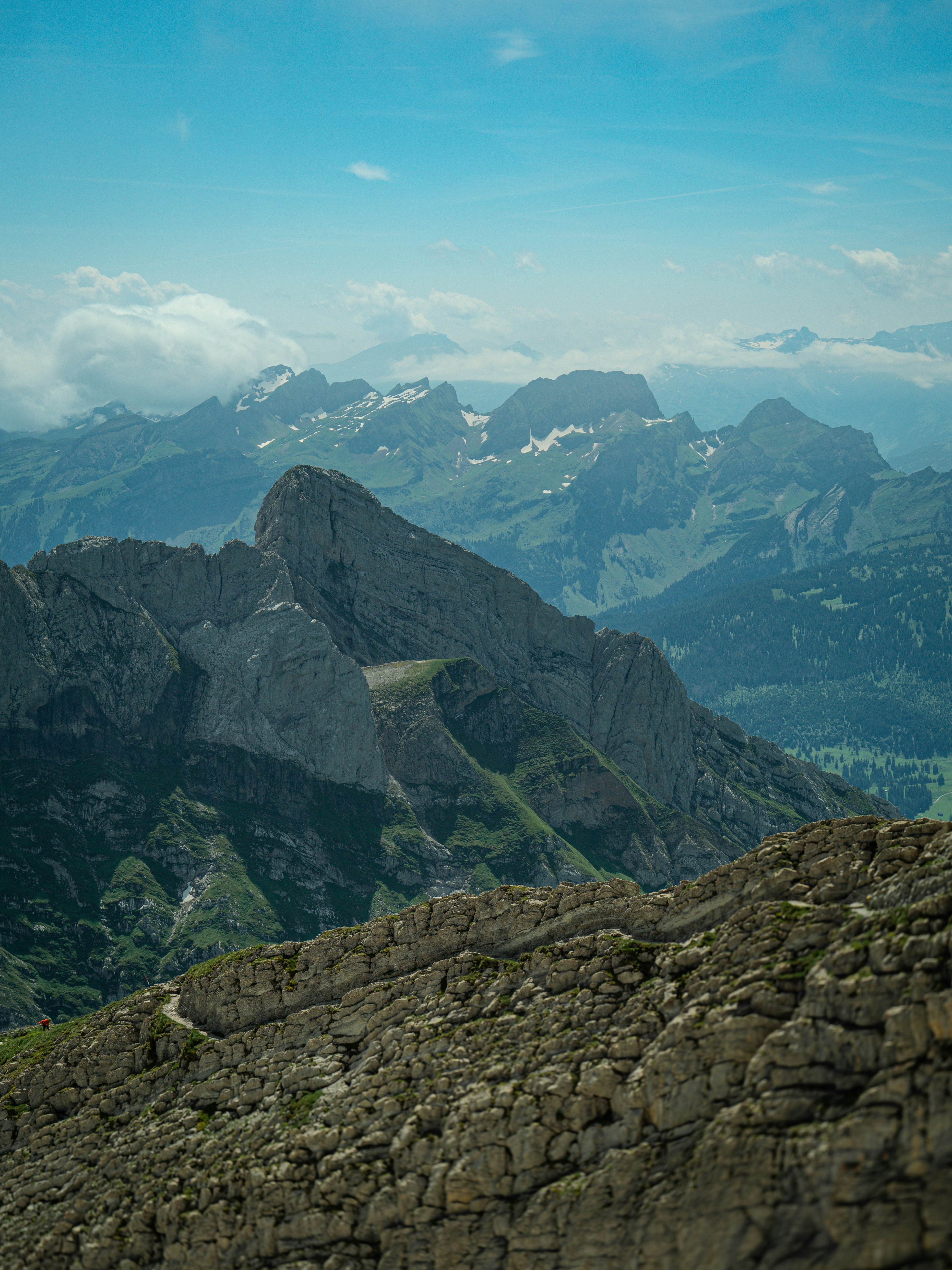 Photo by poli_graphy