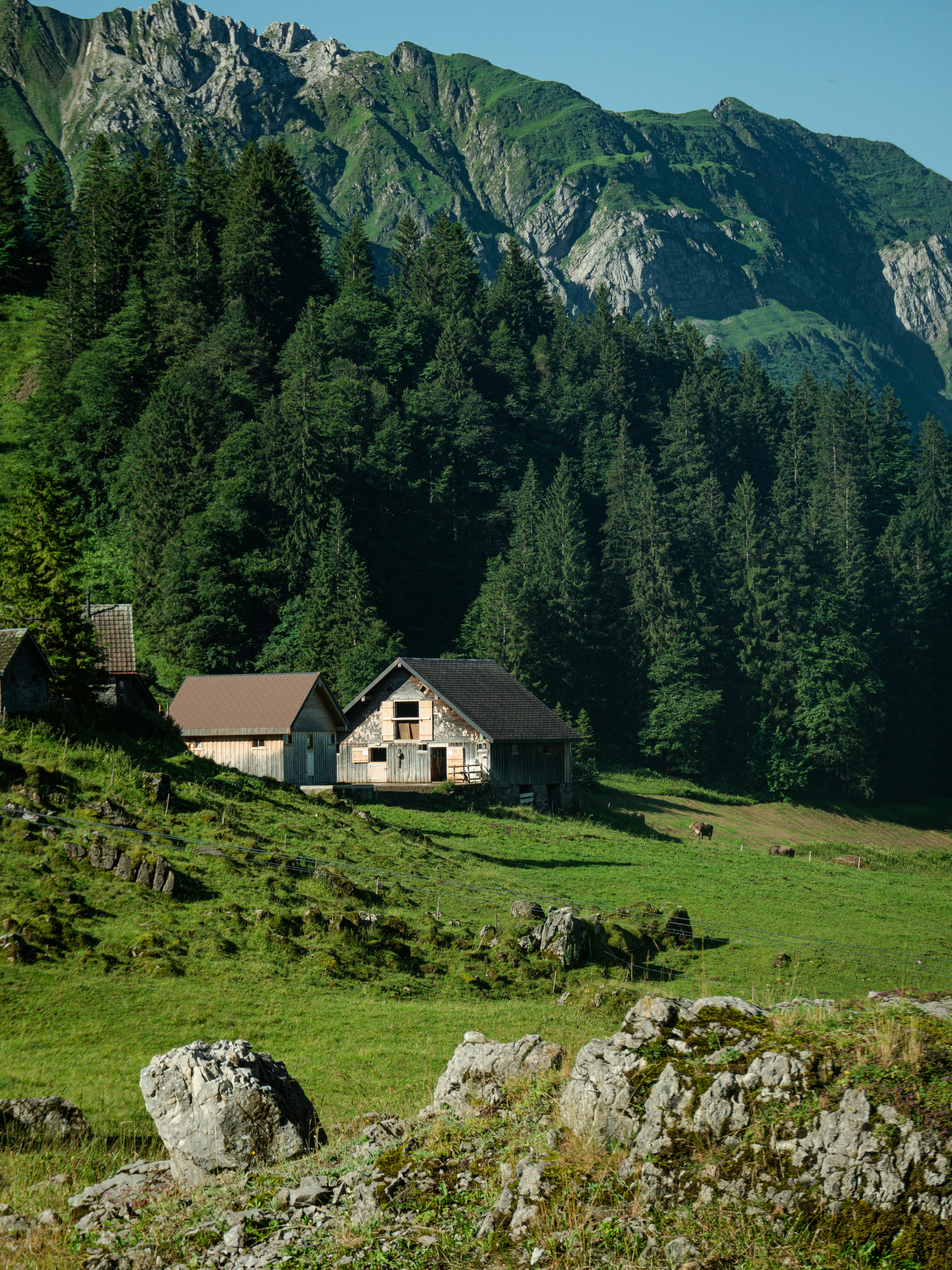 Photo by poli_graphy