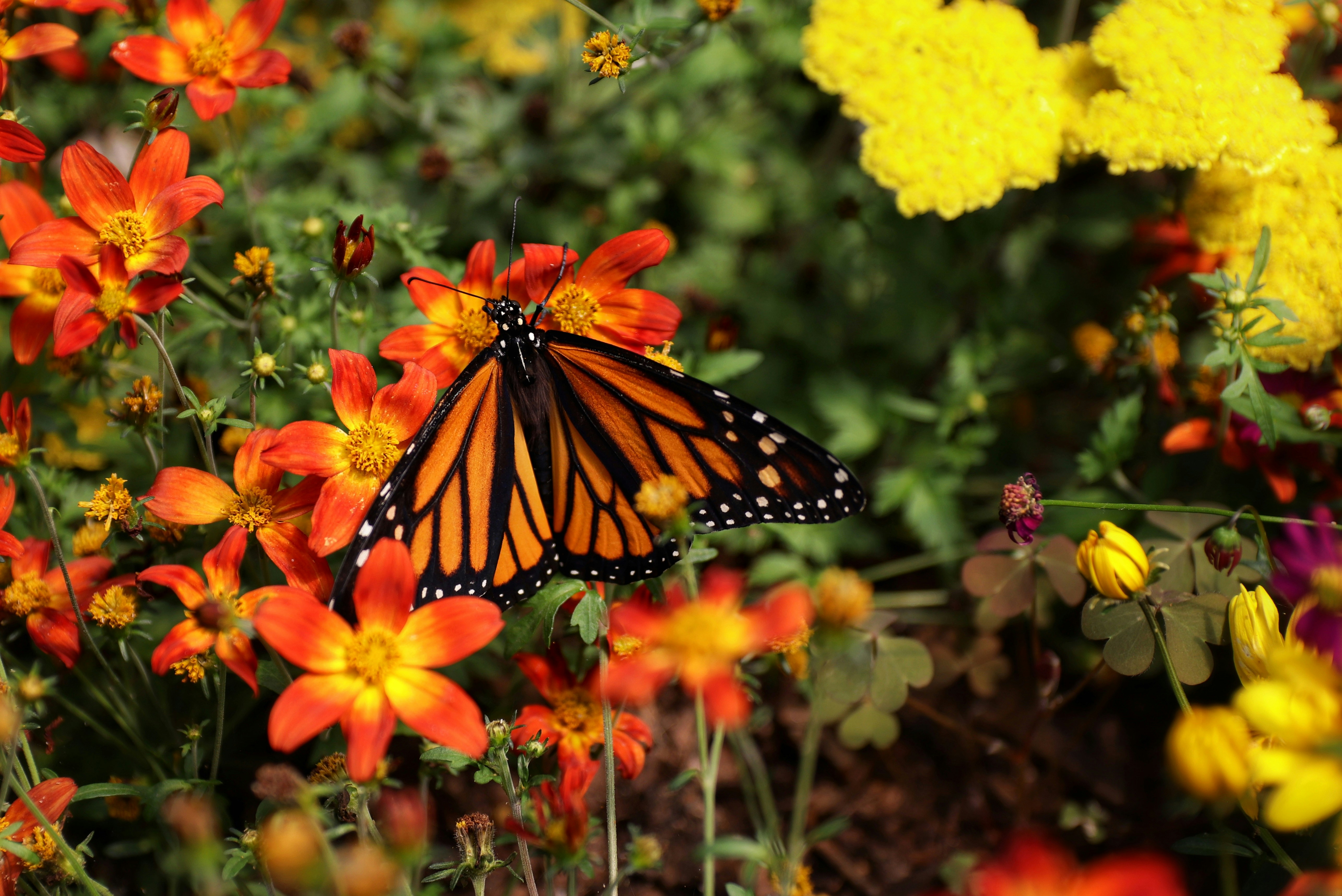 Photo by m_mendez_ix