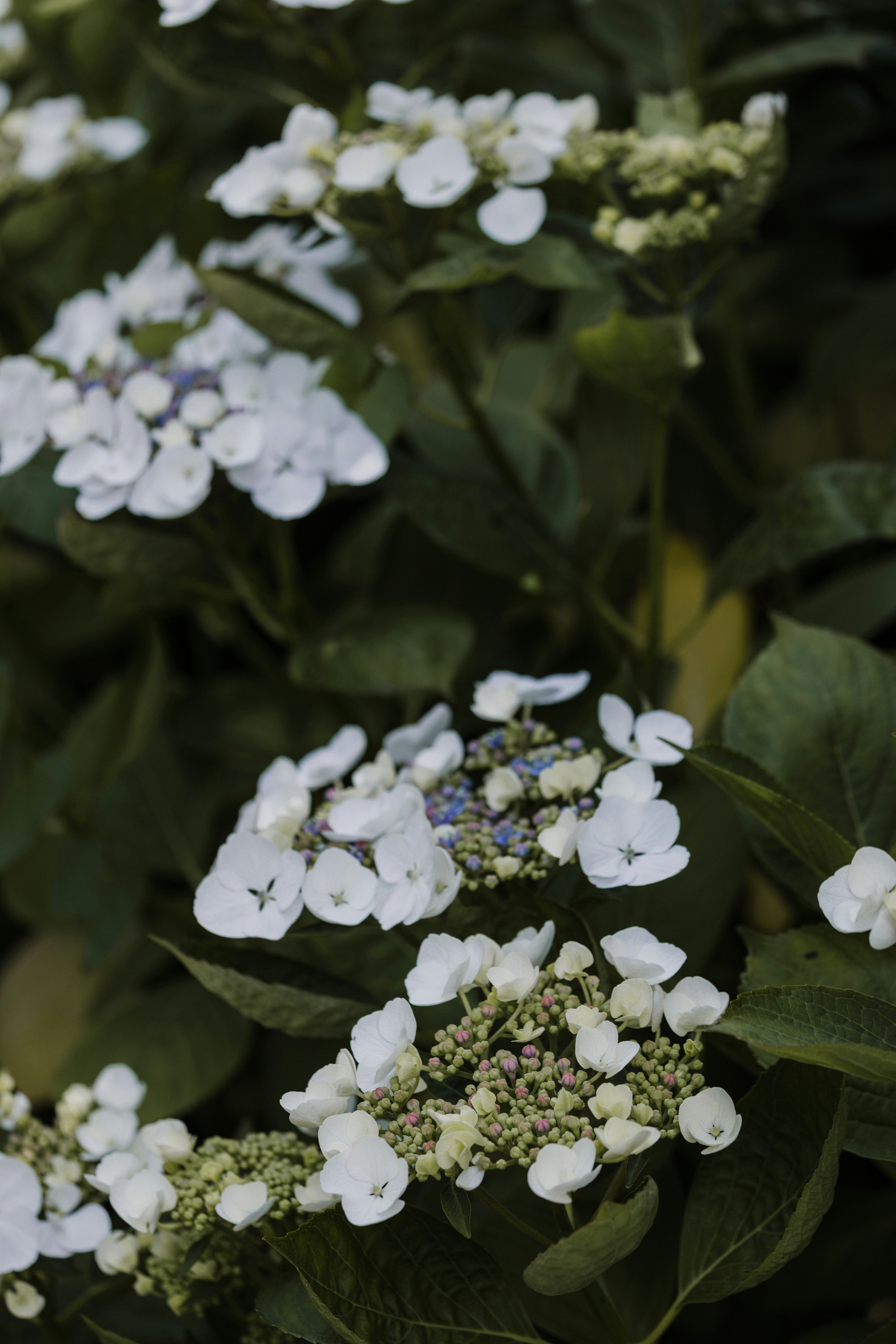 Photo by anniespratt