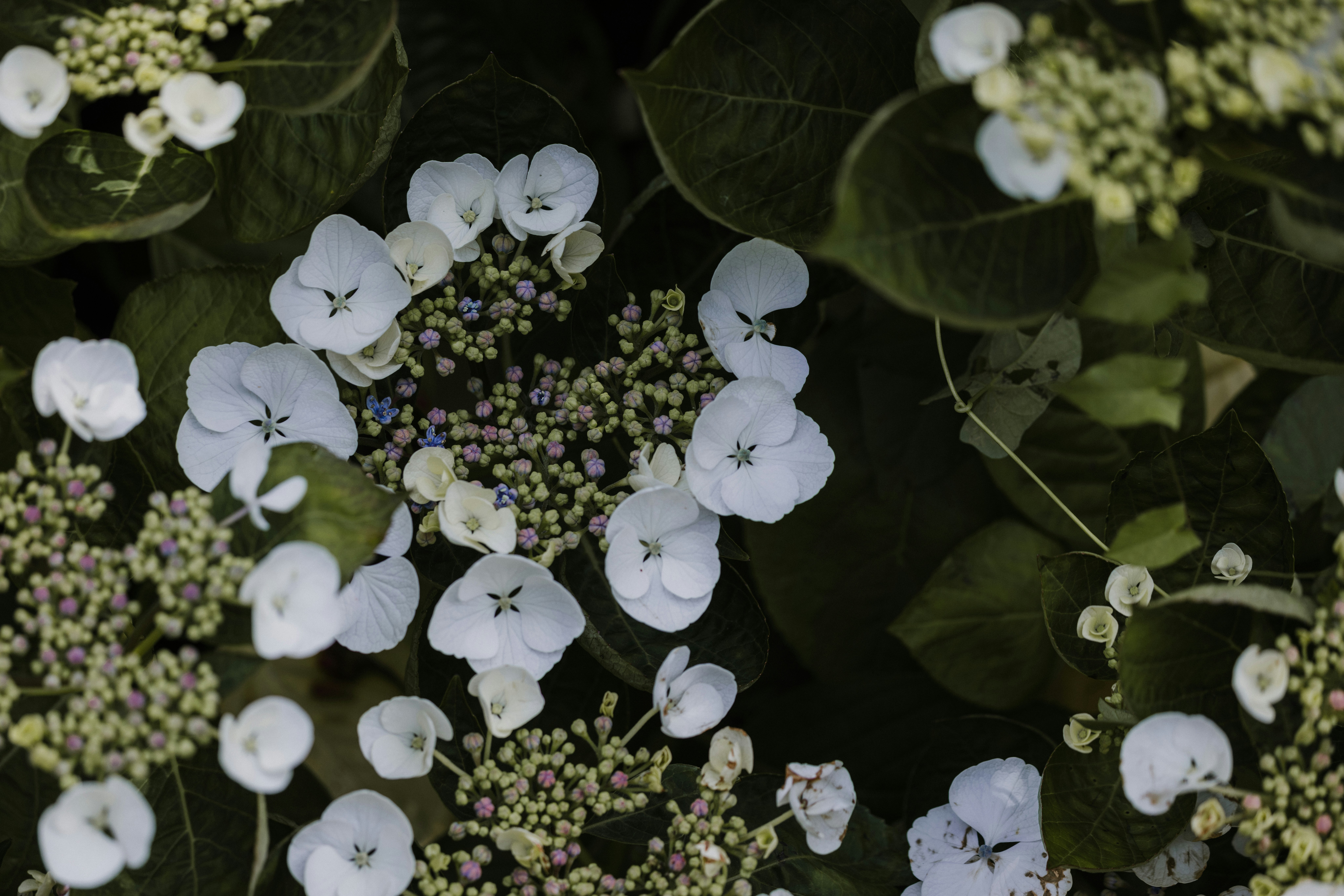 Photo by anniespratt