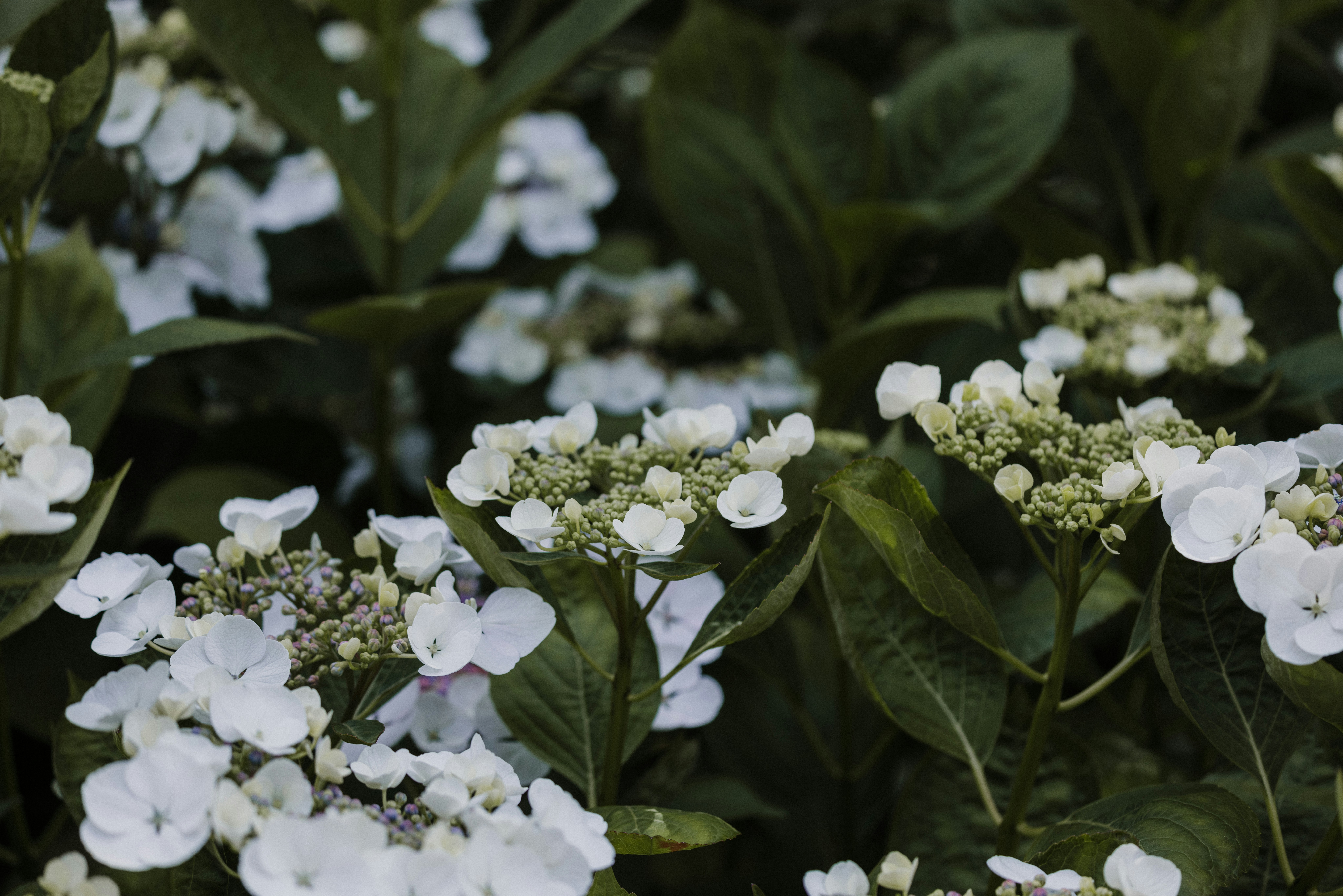 Photo by anniespratt