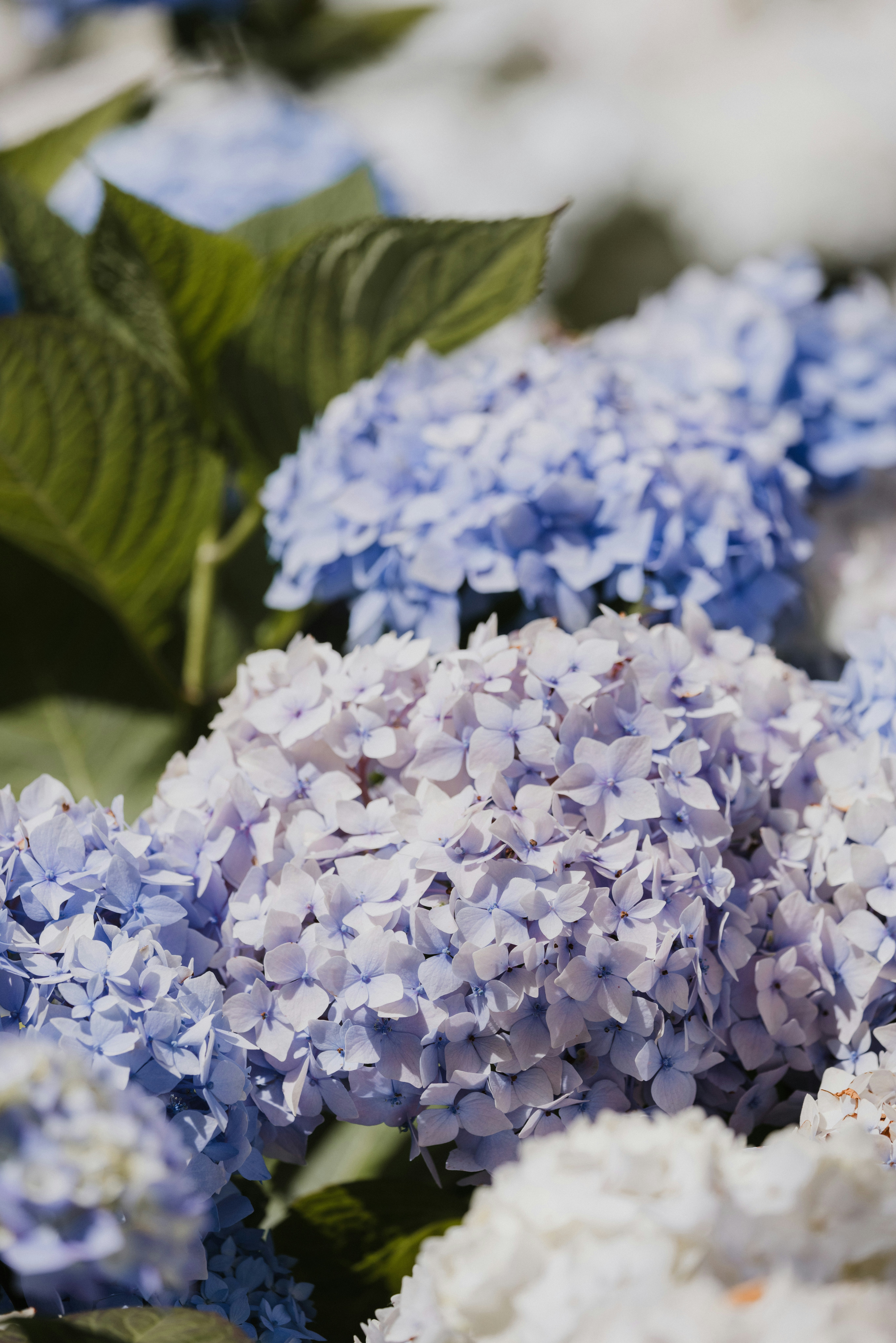 Photo by anniespratt