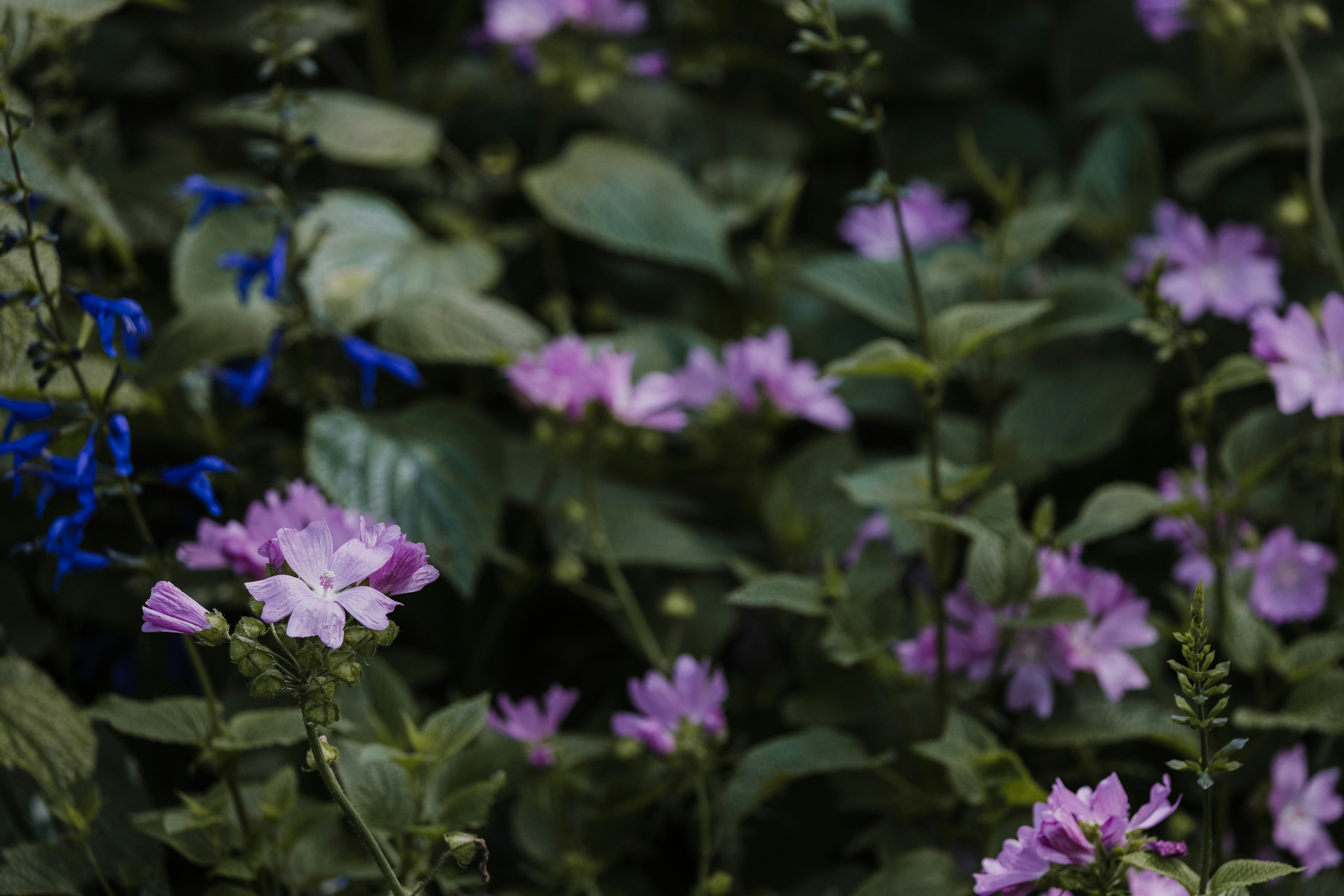 Photo by anniespratt