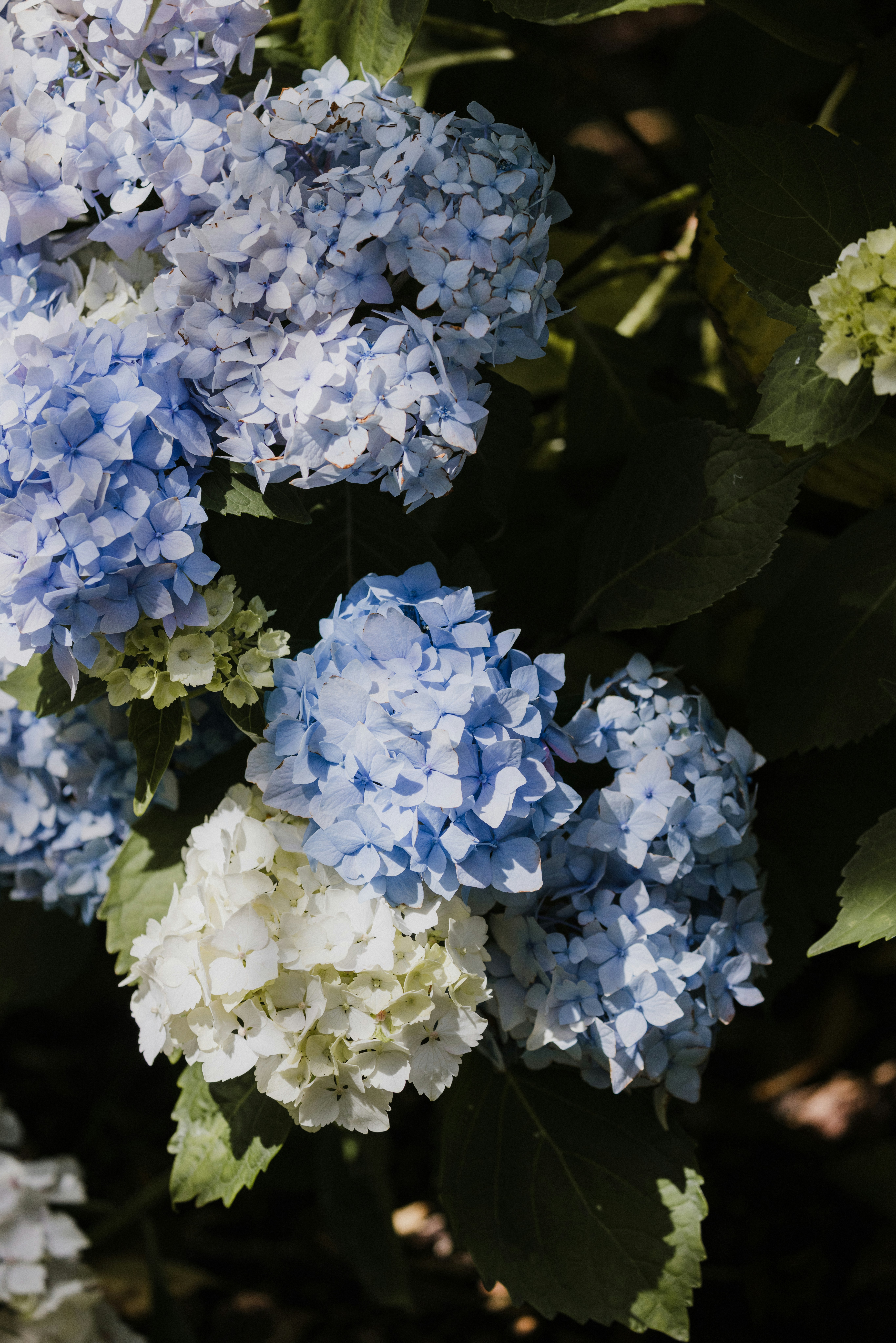 Photo by anniespratt