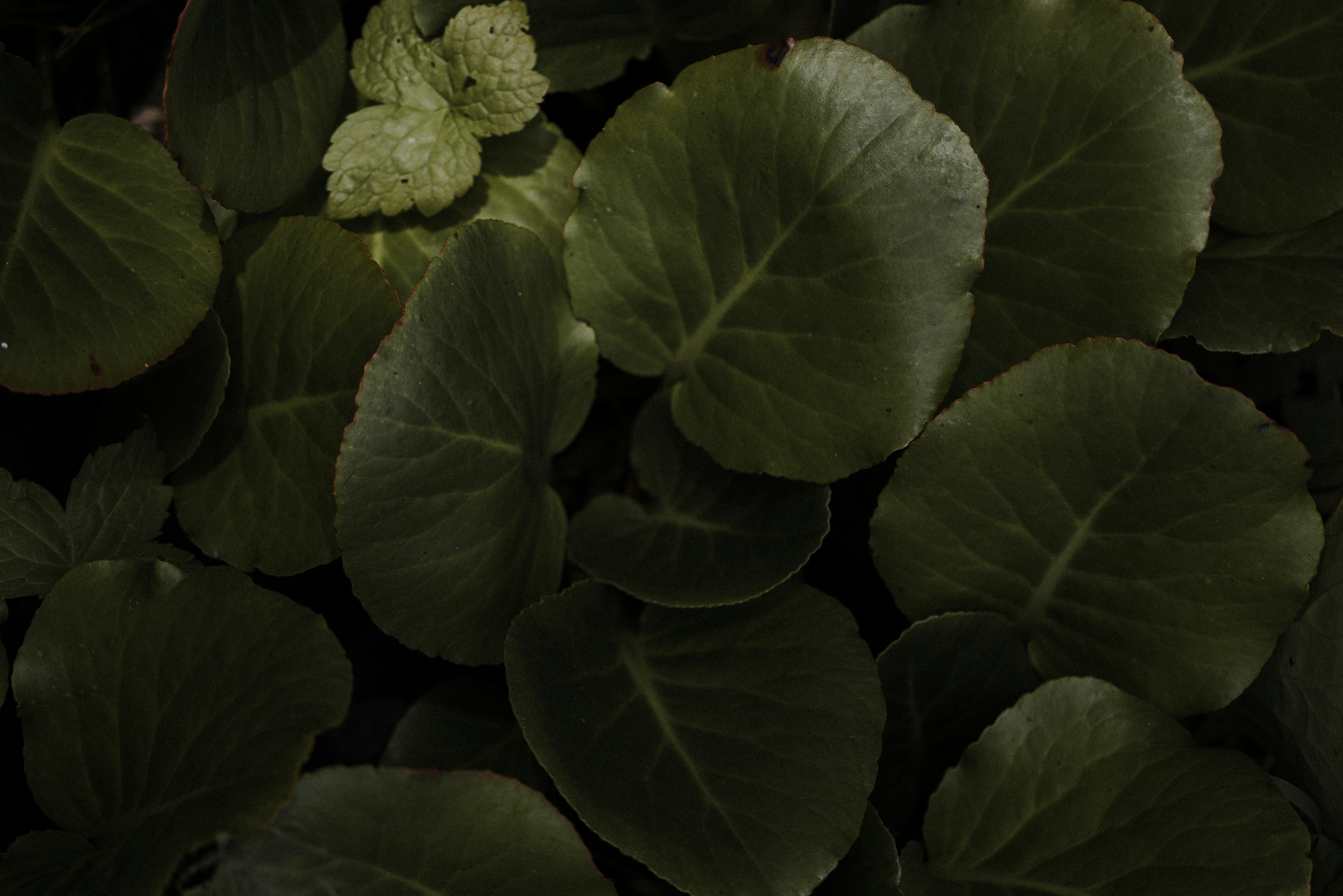 Photo by anniespratt