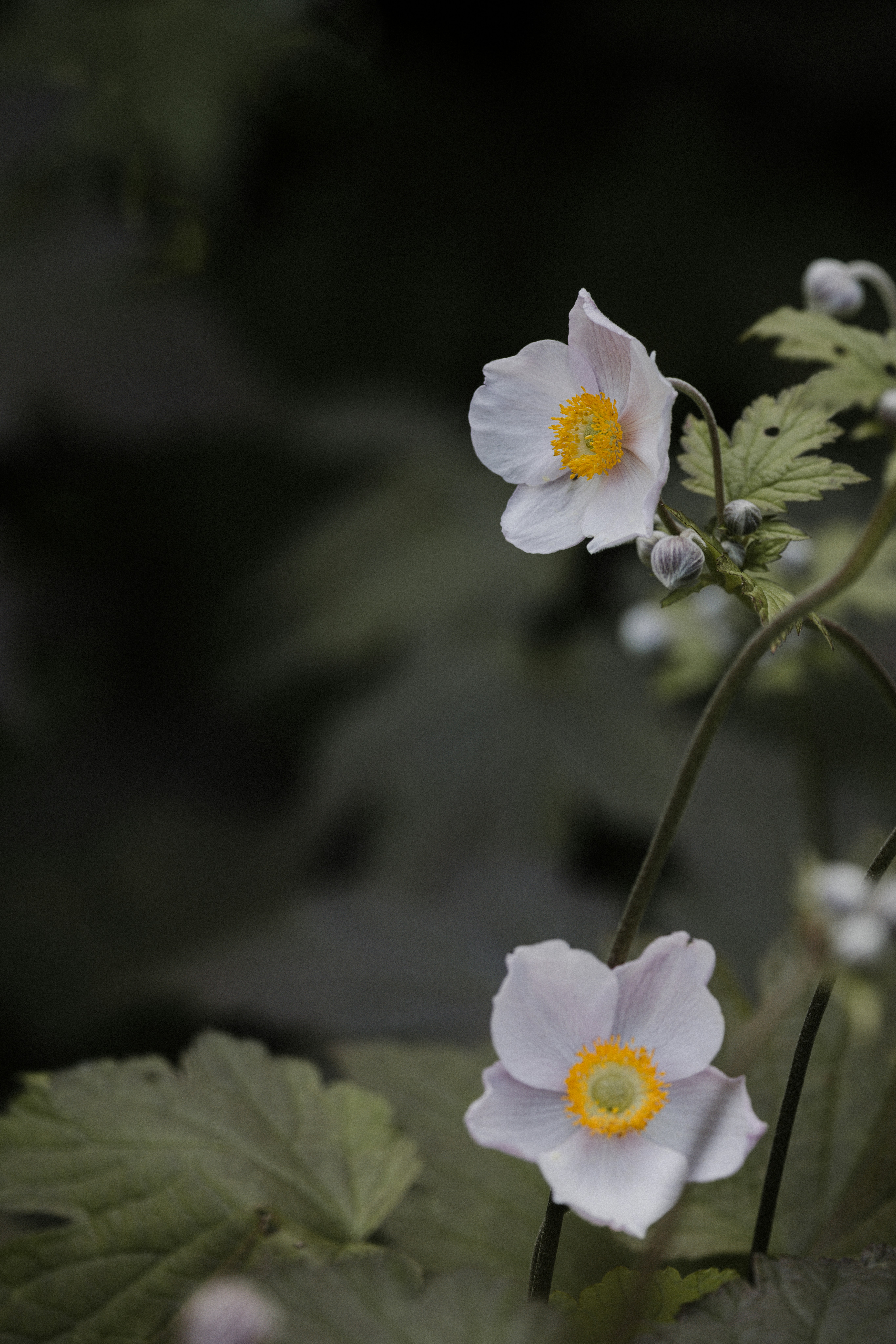 Photo by anniespratt