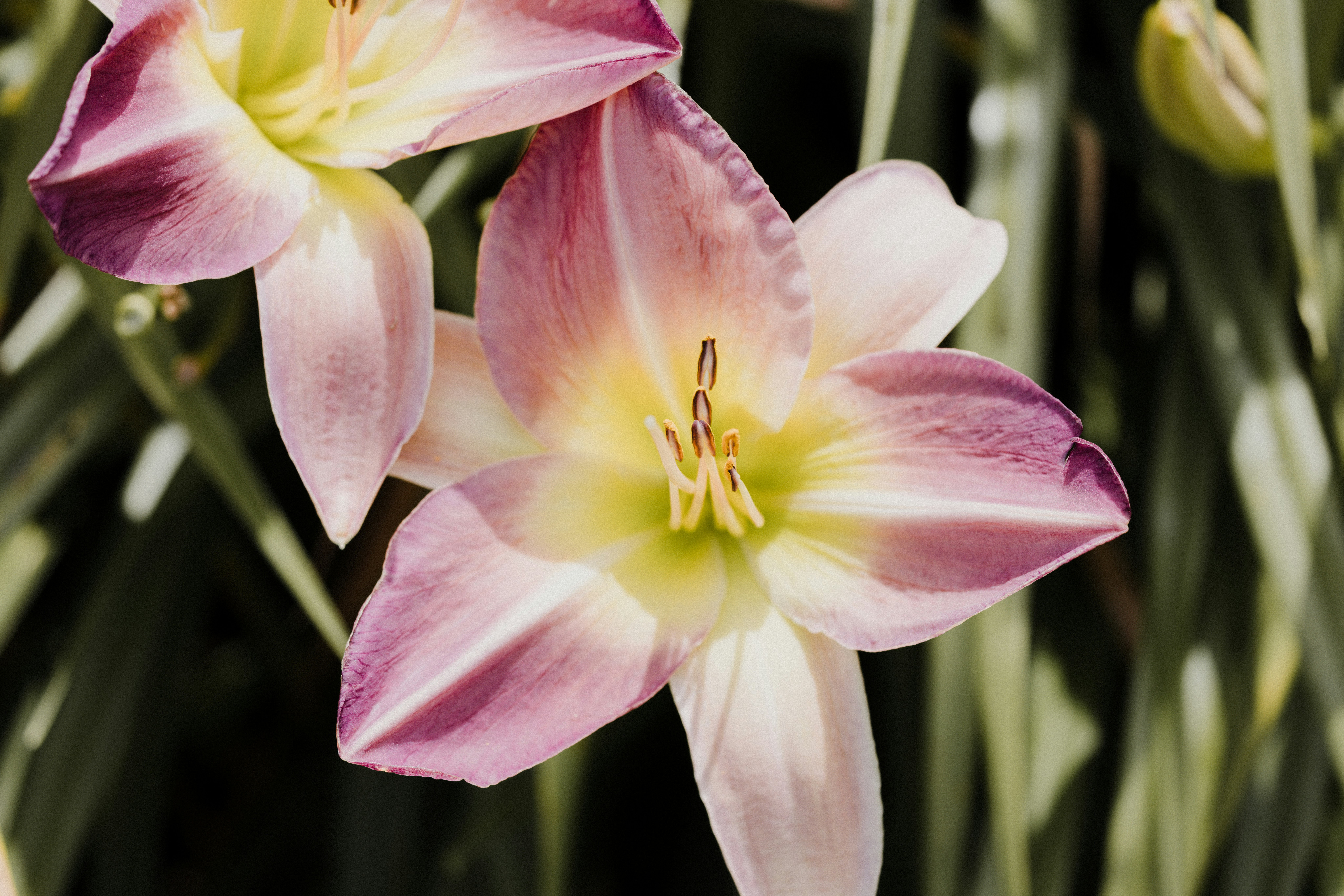 Photo by anniespratt