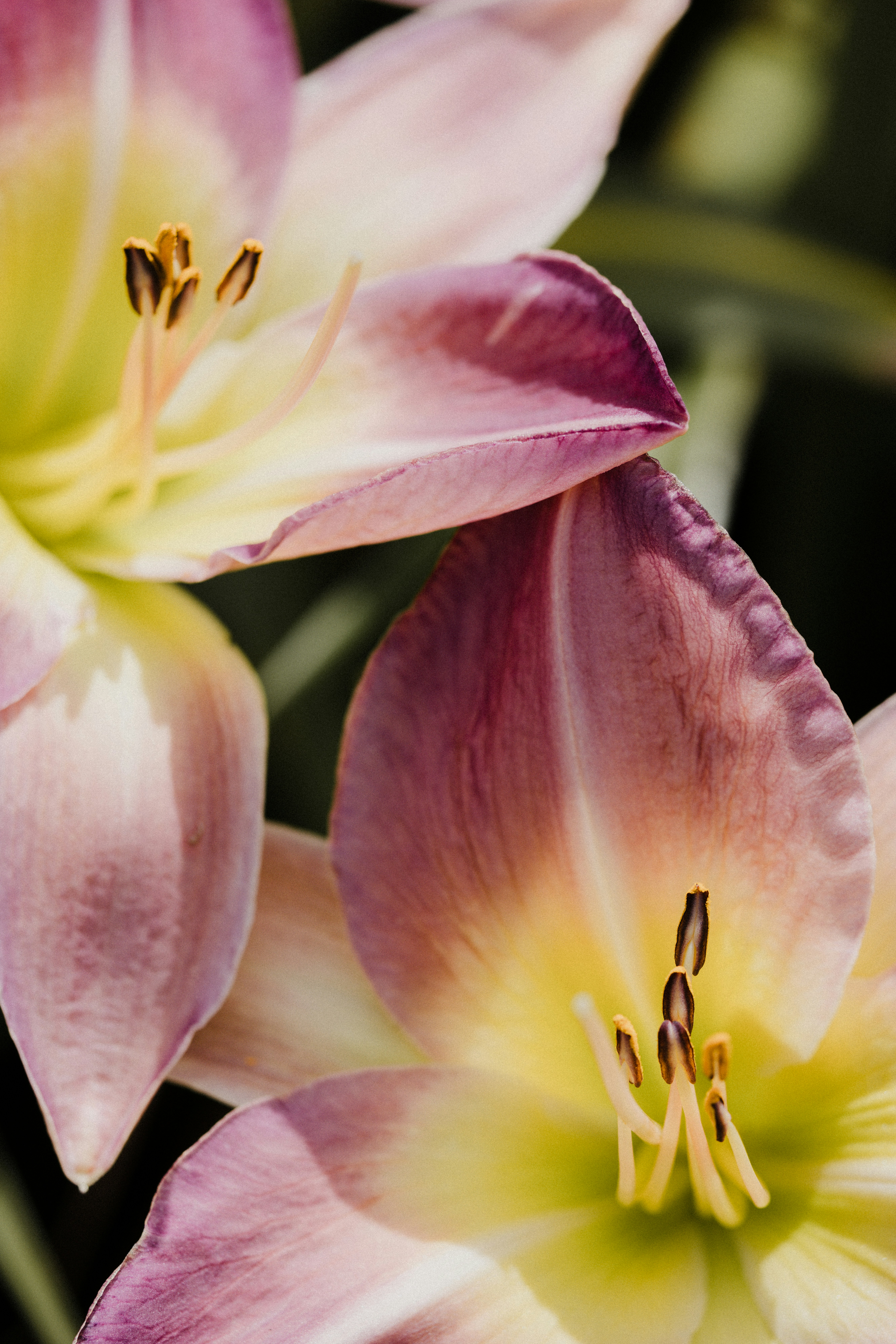 Photo by anniespratt