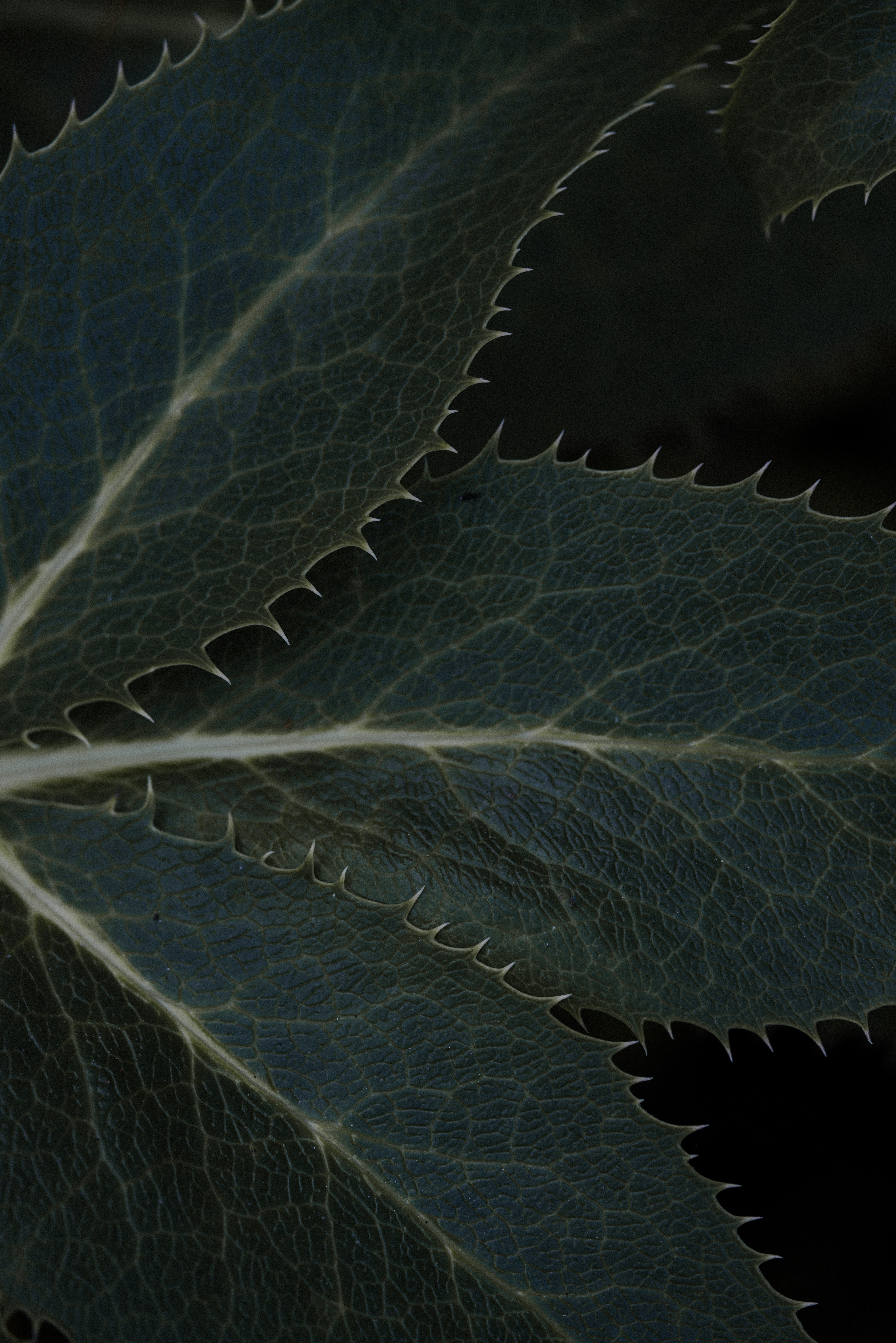 Photo by anniespratt