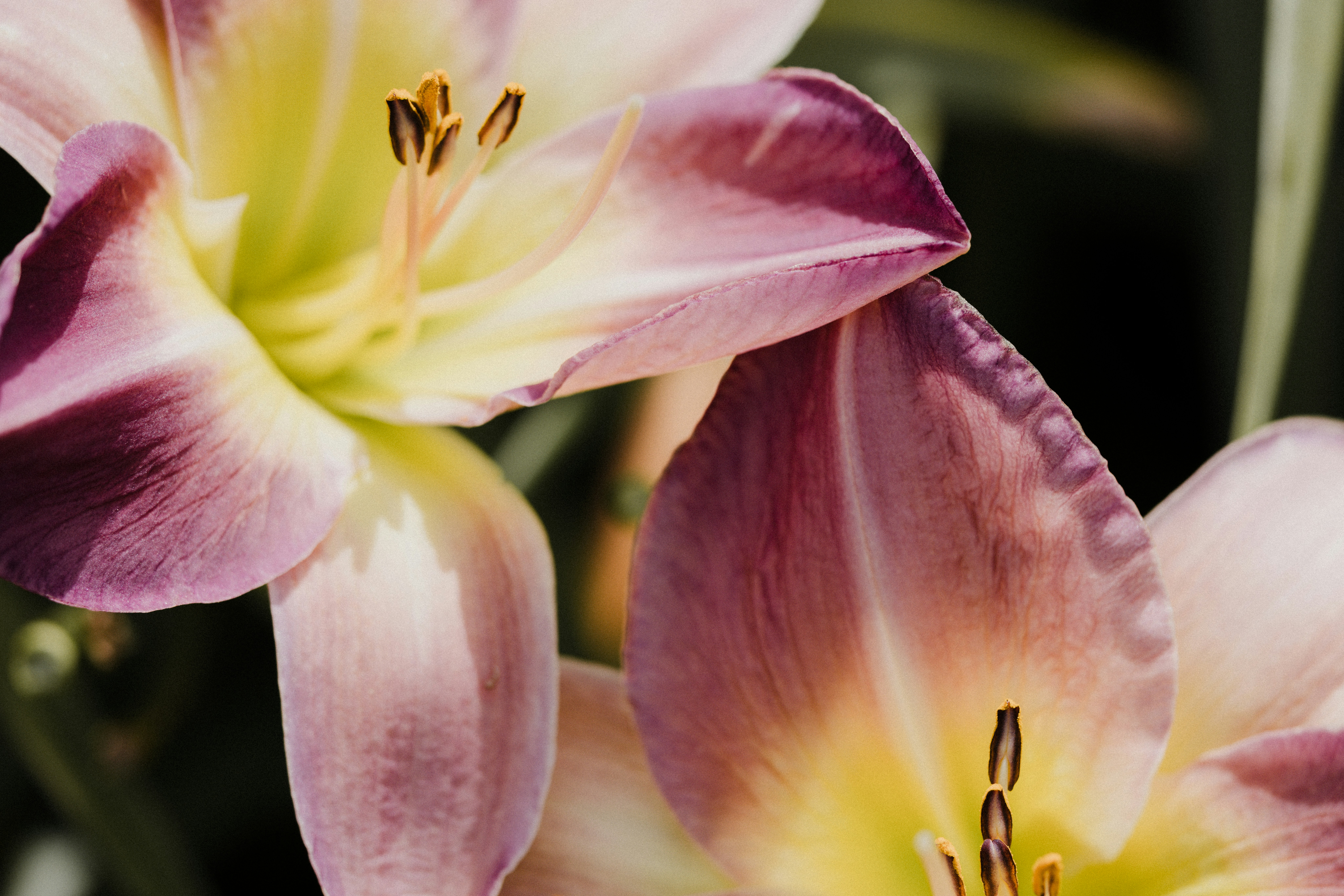 Photo by anniespratt