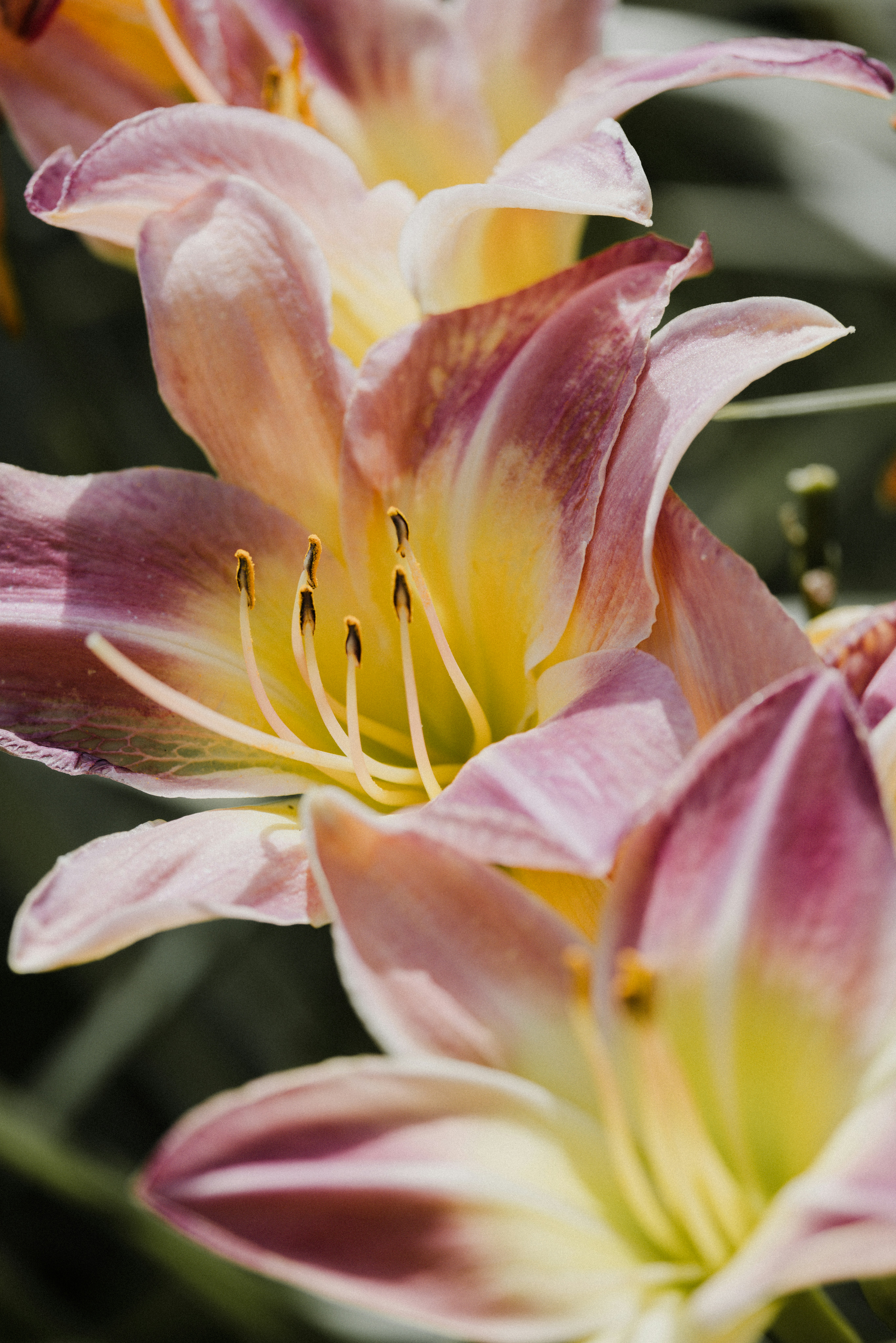 Photo by anniespratt