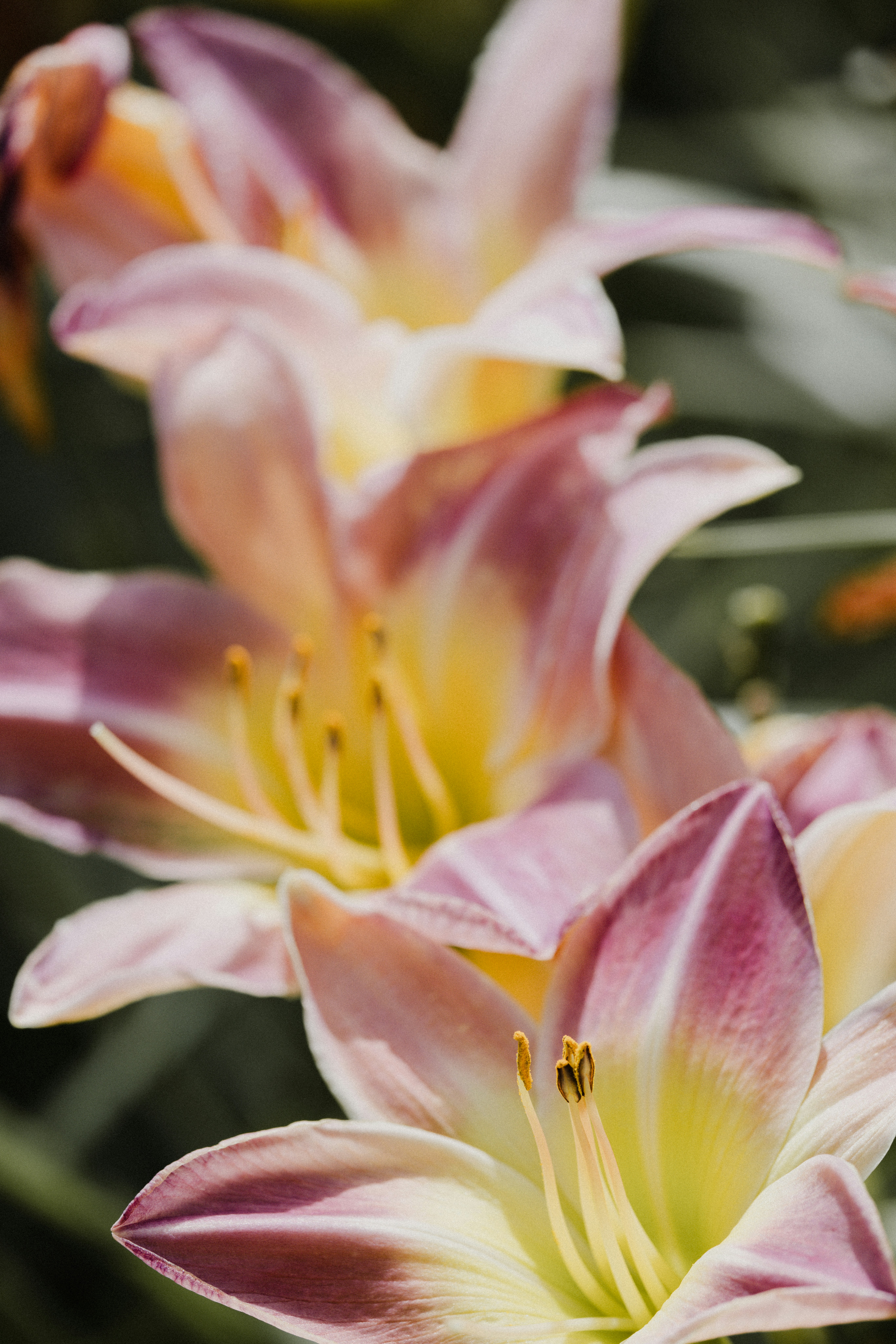 Photo by anniespratt