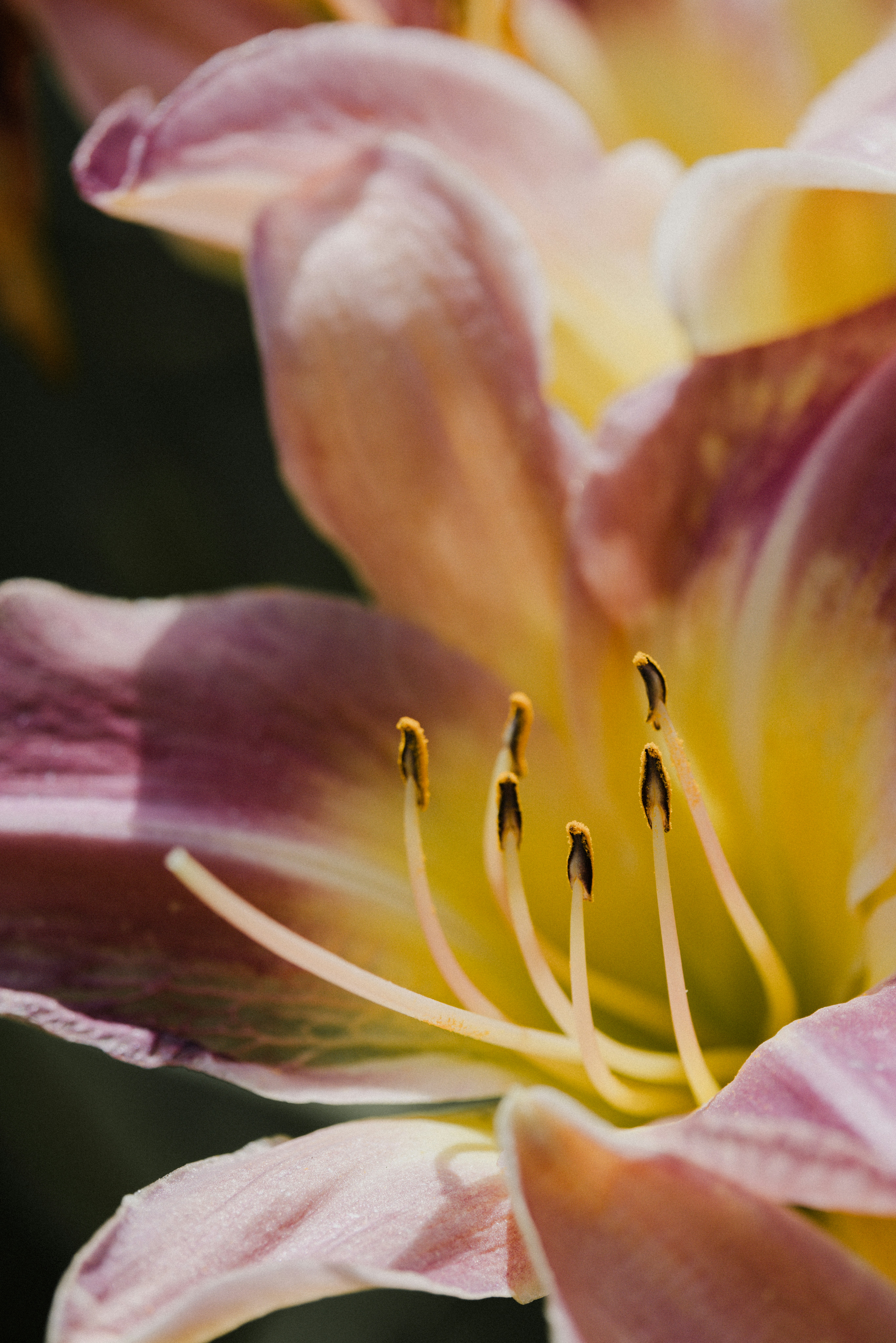 Photo by anniespratt