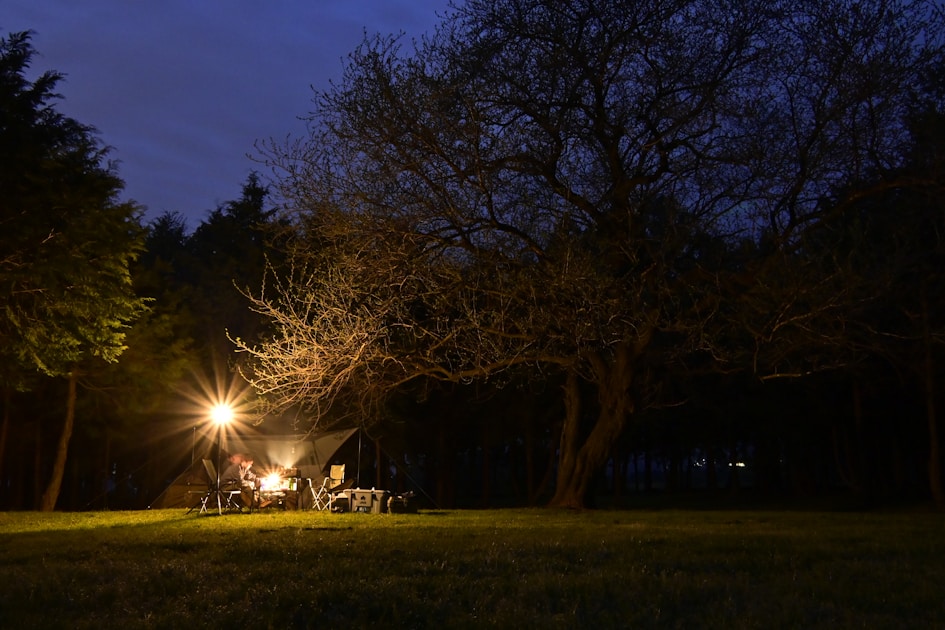 Best national parks rv camping — practical guide overview