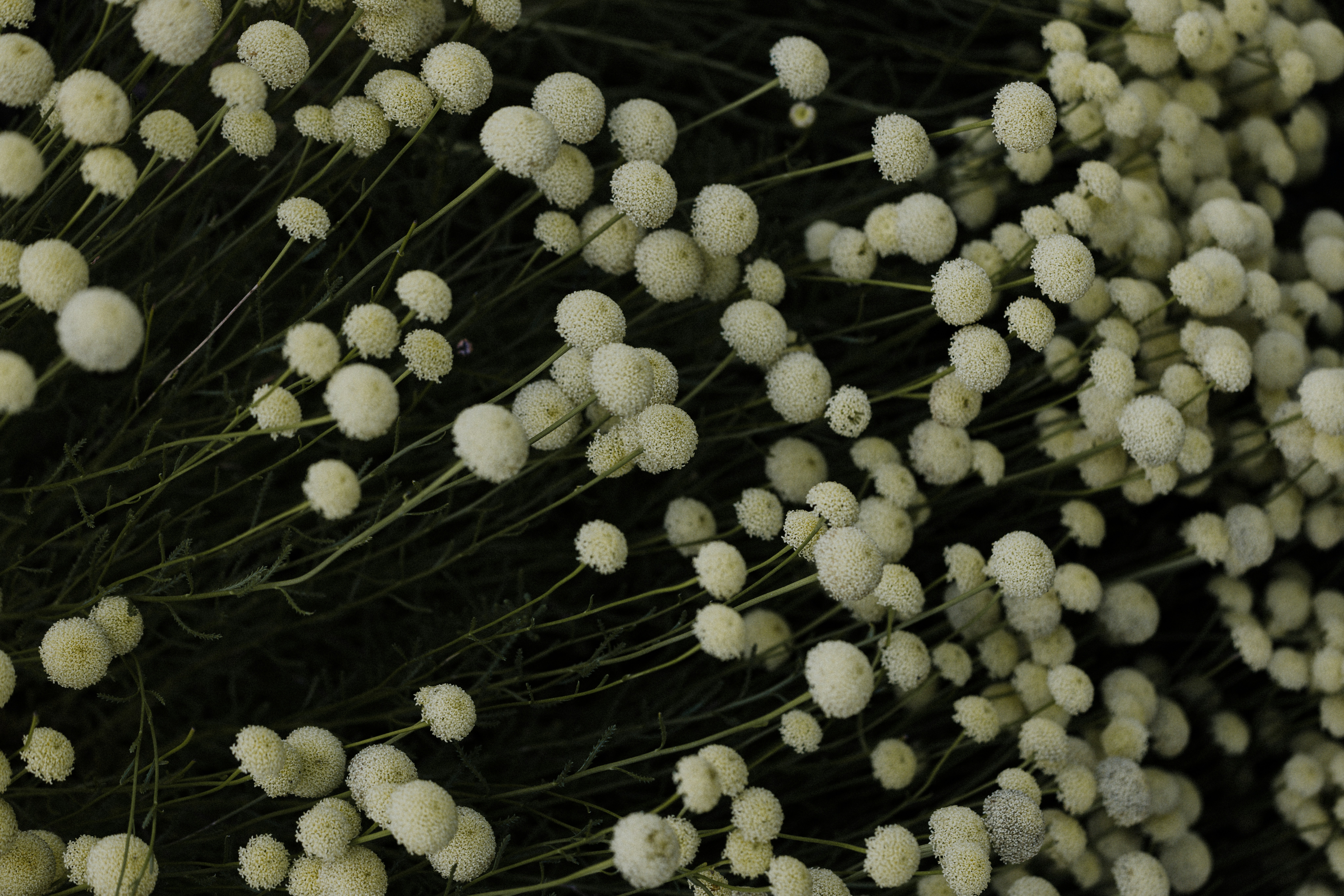 Photo by anniespratt