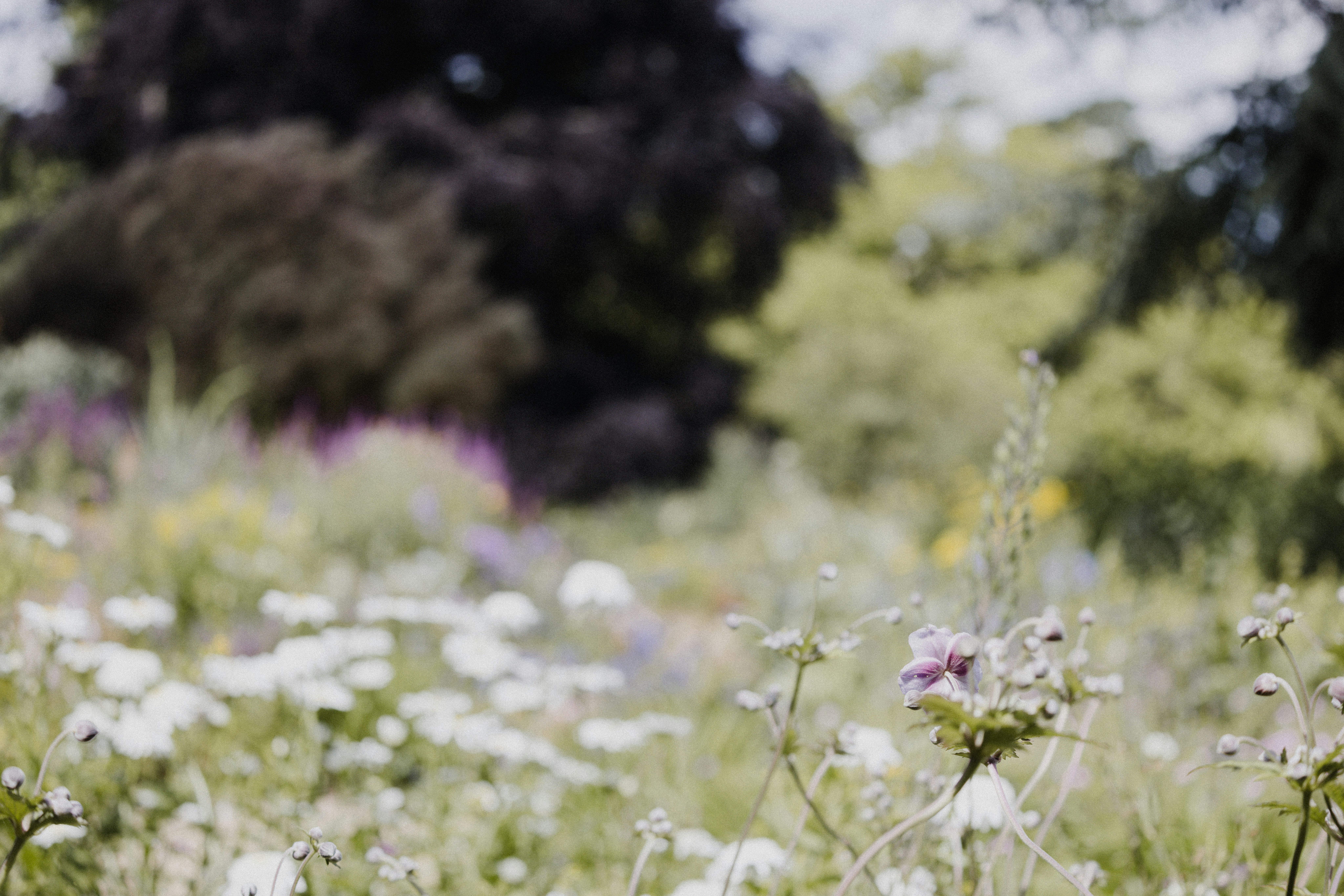 Photo by anniespratt