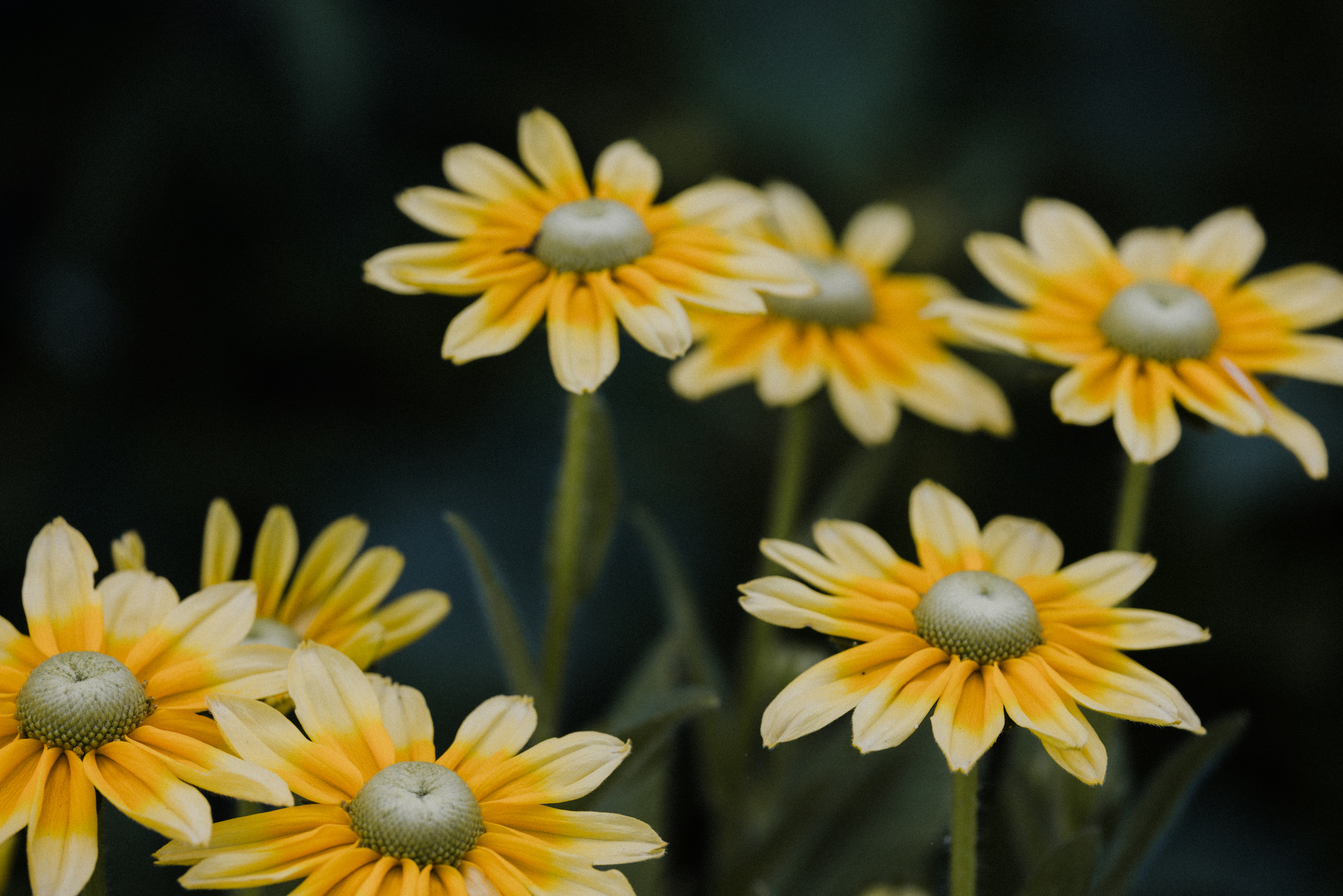 Photo by anniespratt