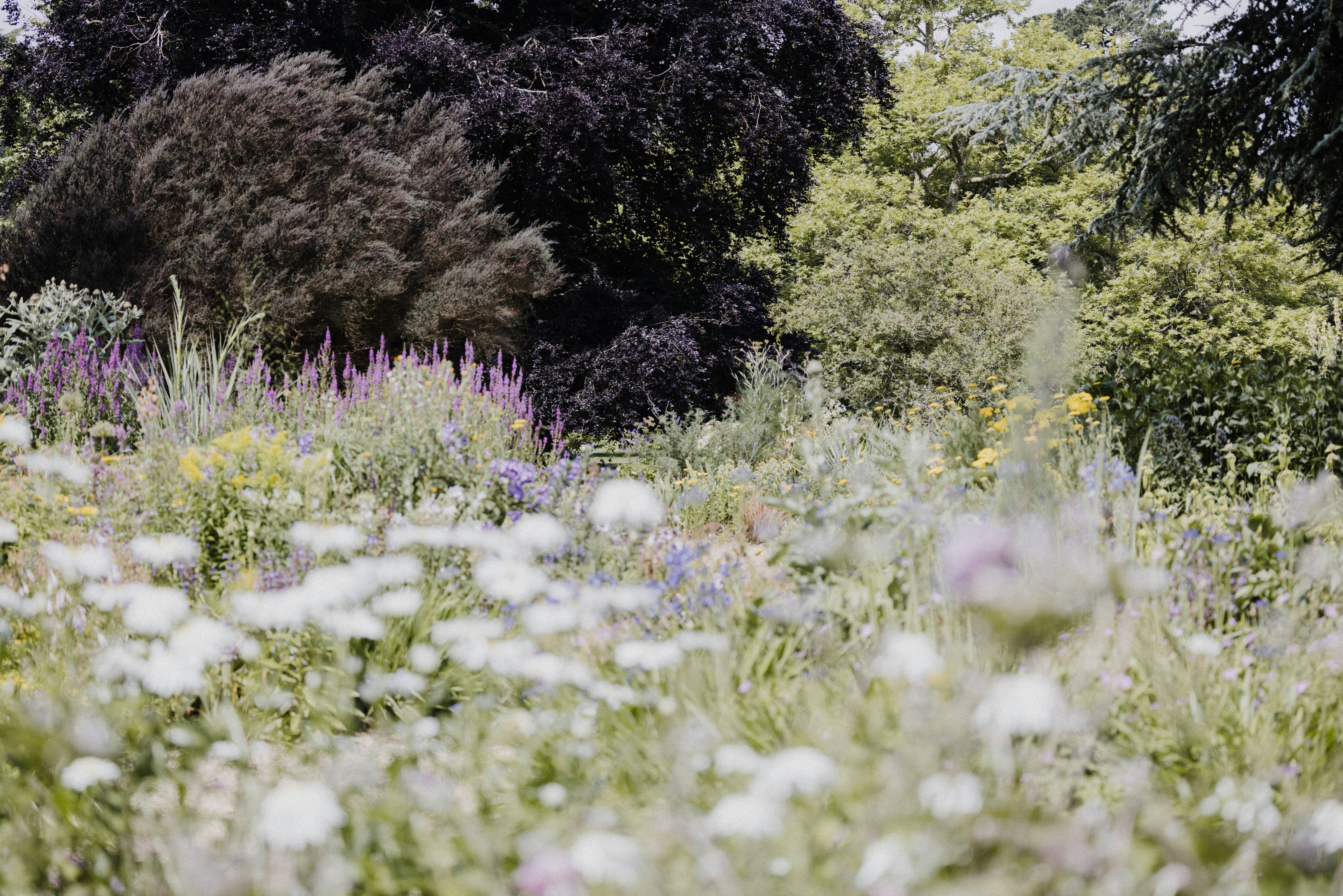 Photo by anniespratt