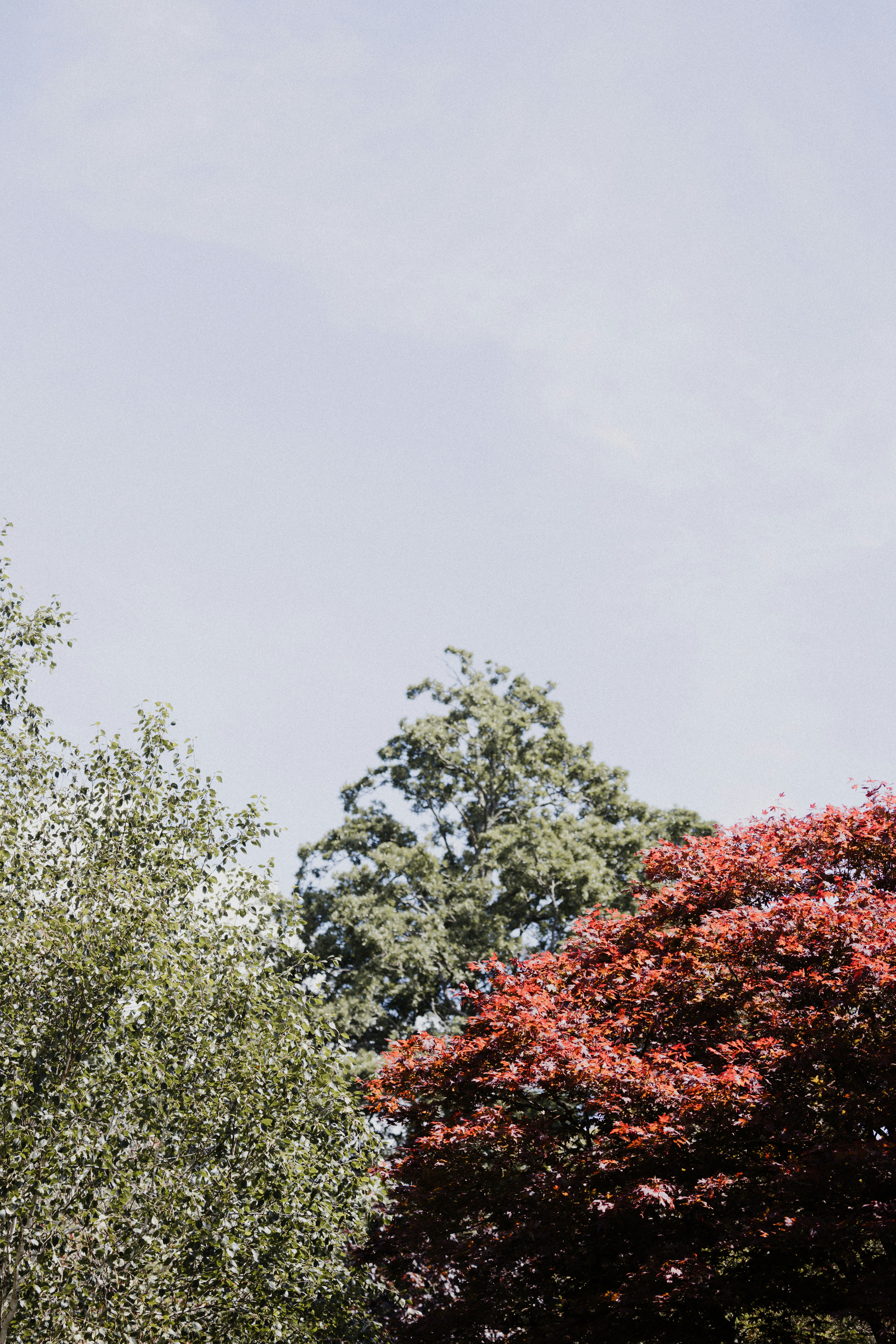 Photo by anniespratt