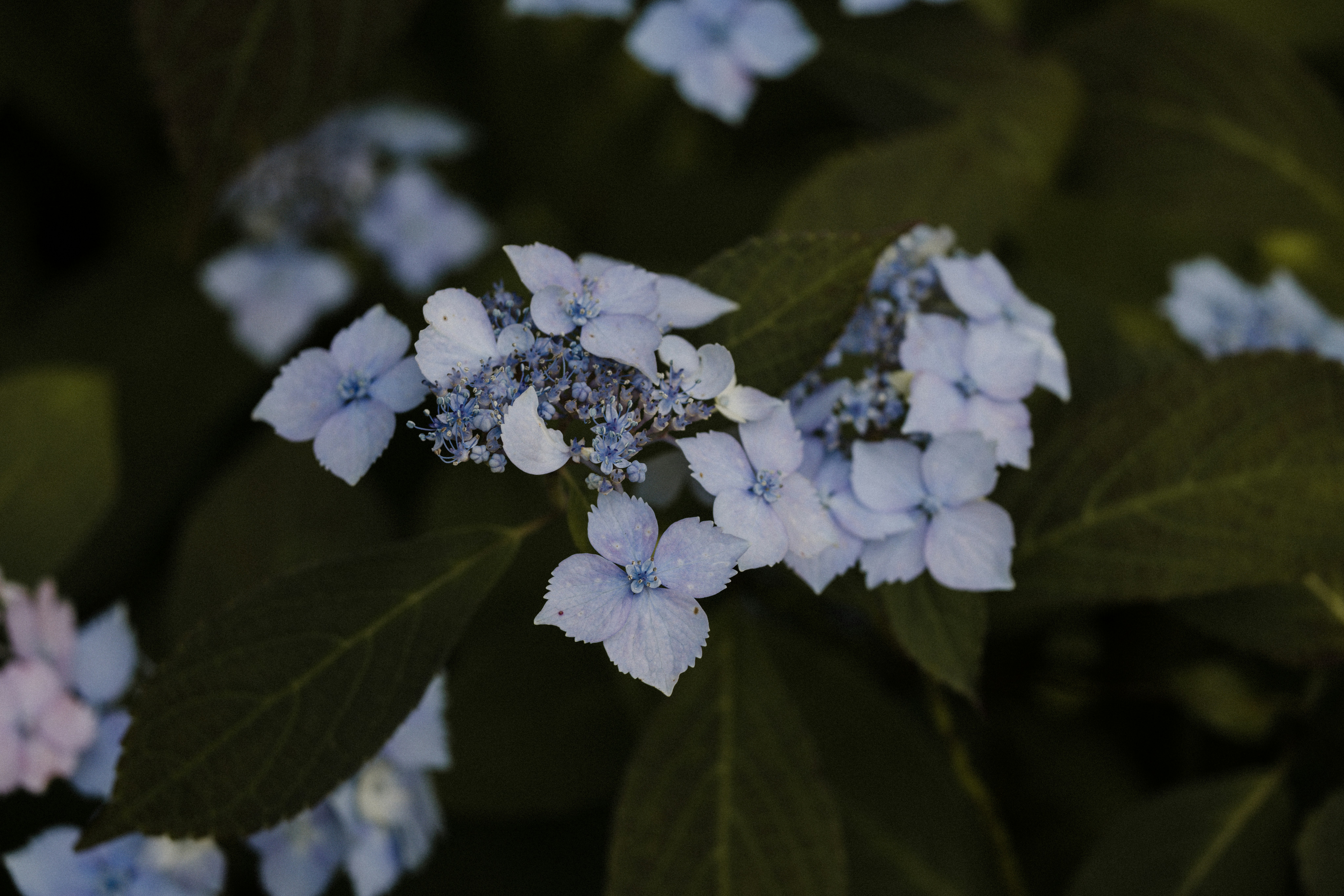 Photo by anniespratt