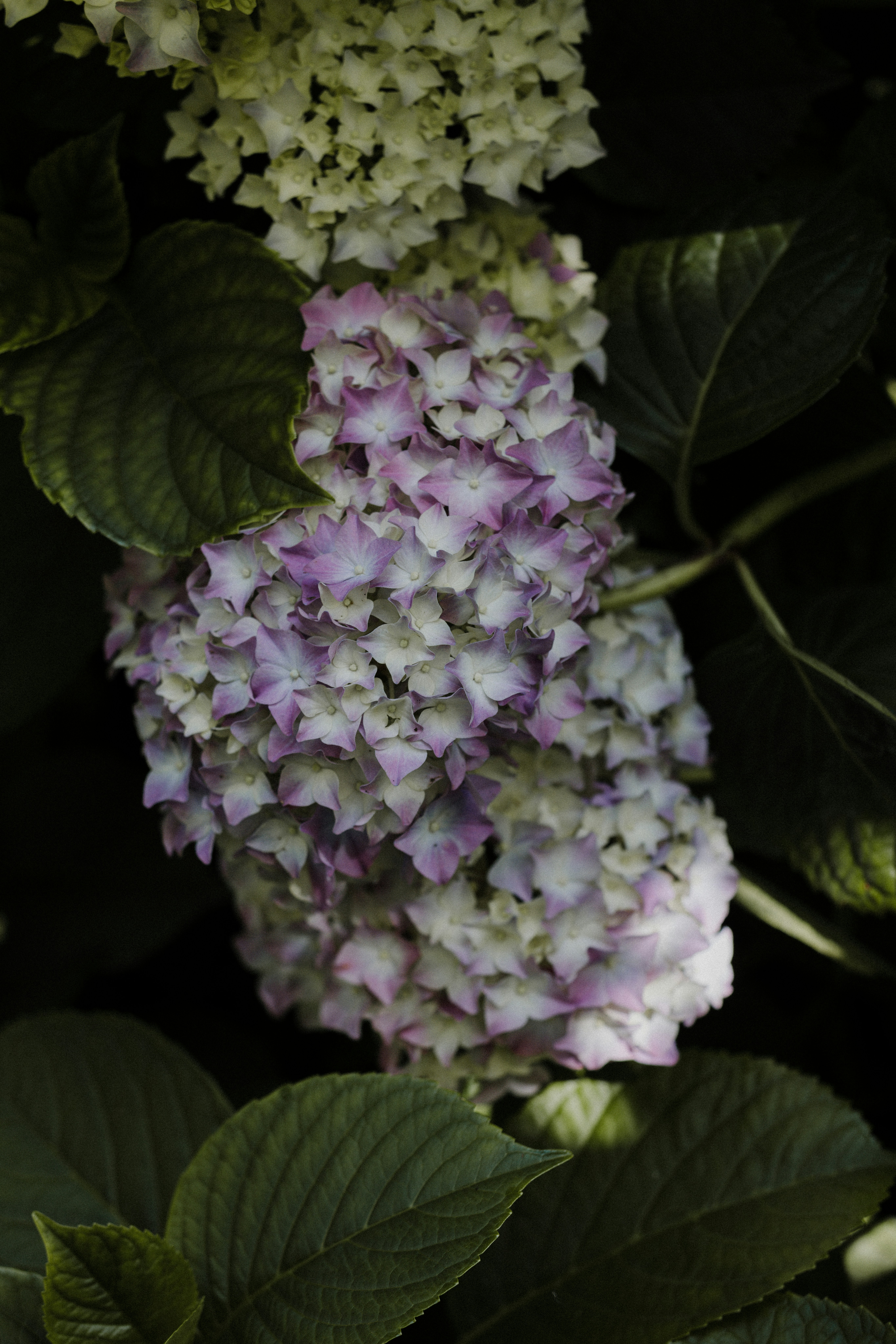 Photo by anniespratt