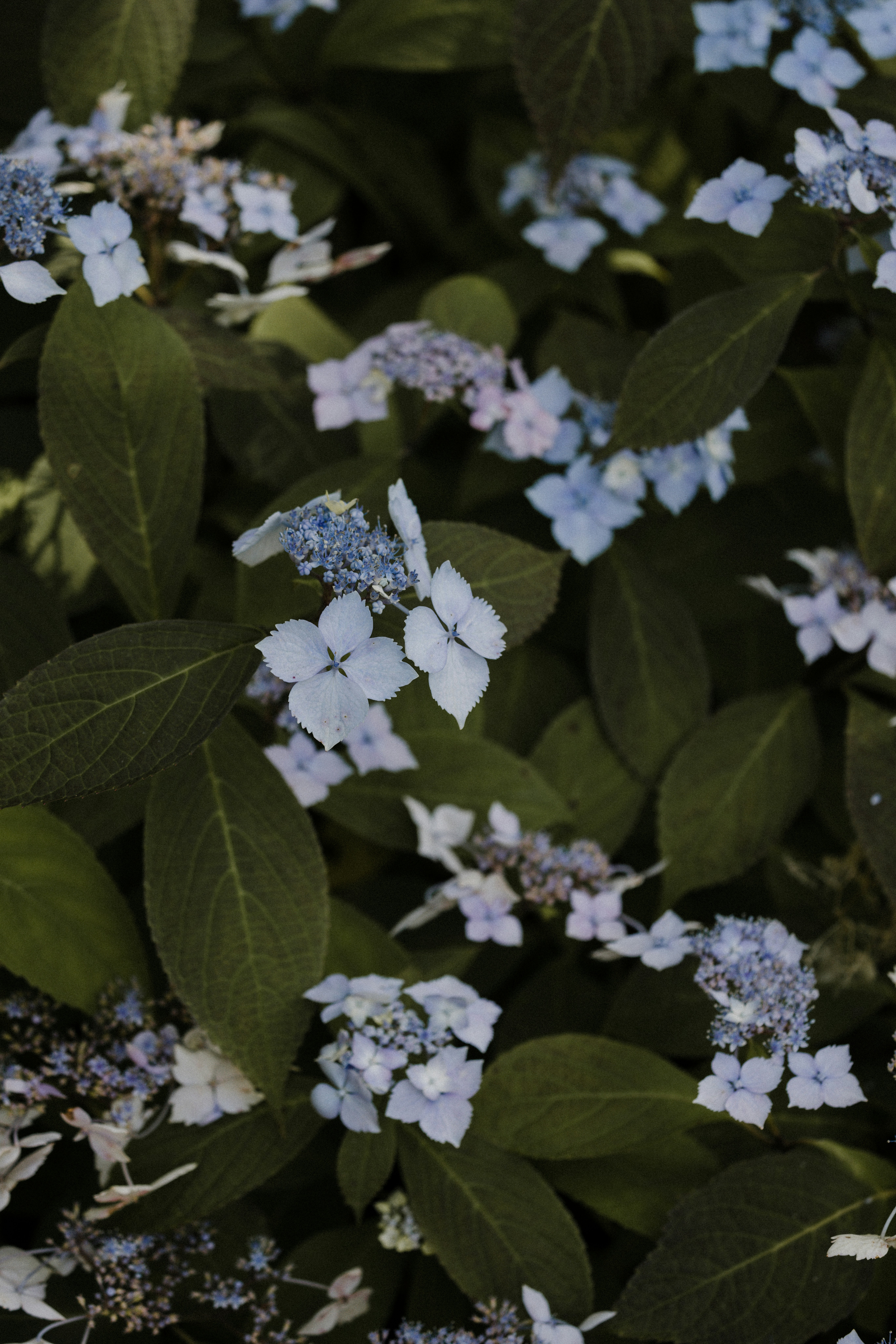 Photo by anniespratt