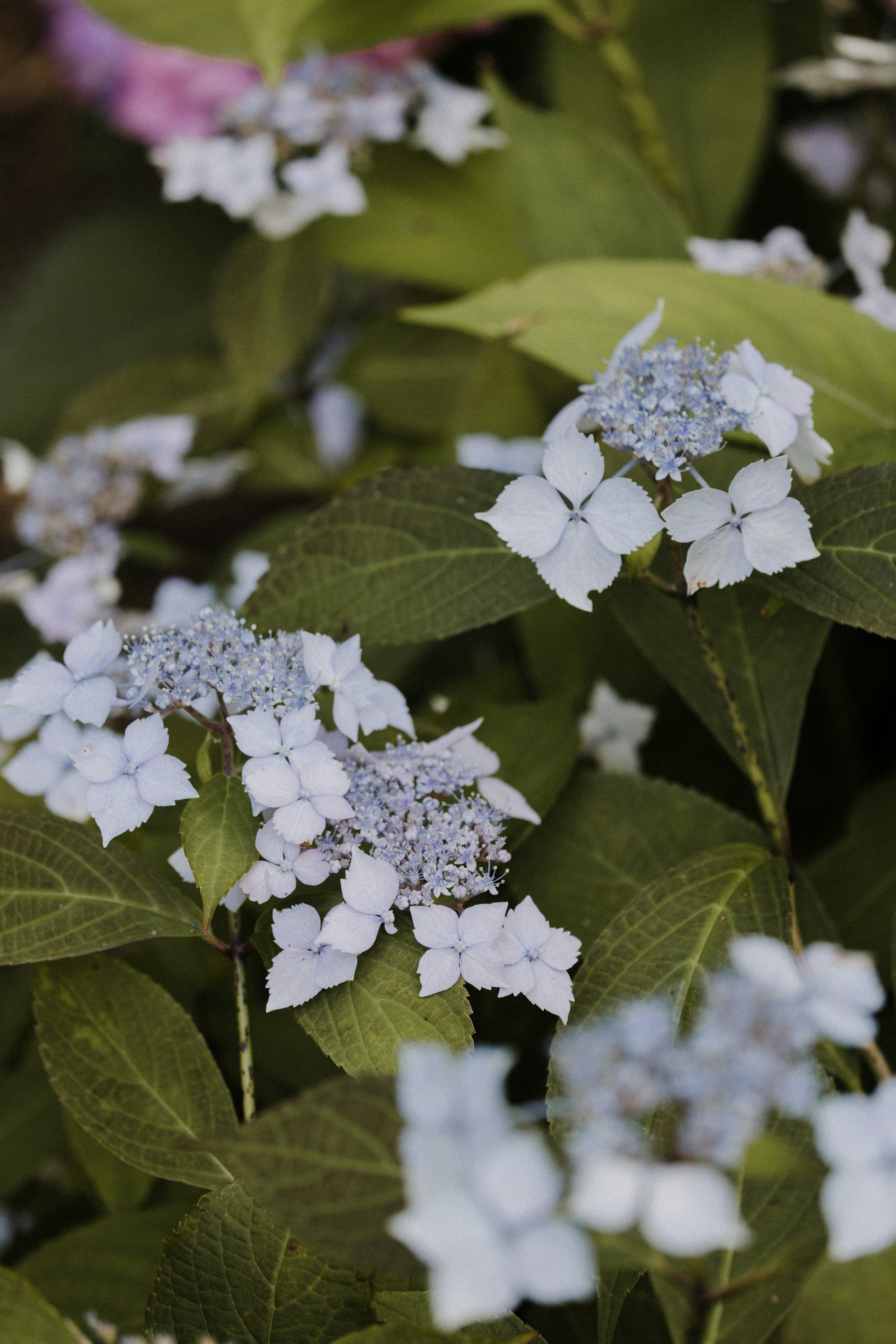 Photo by anniespratt