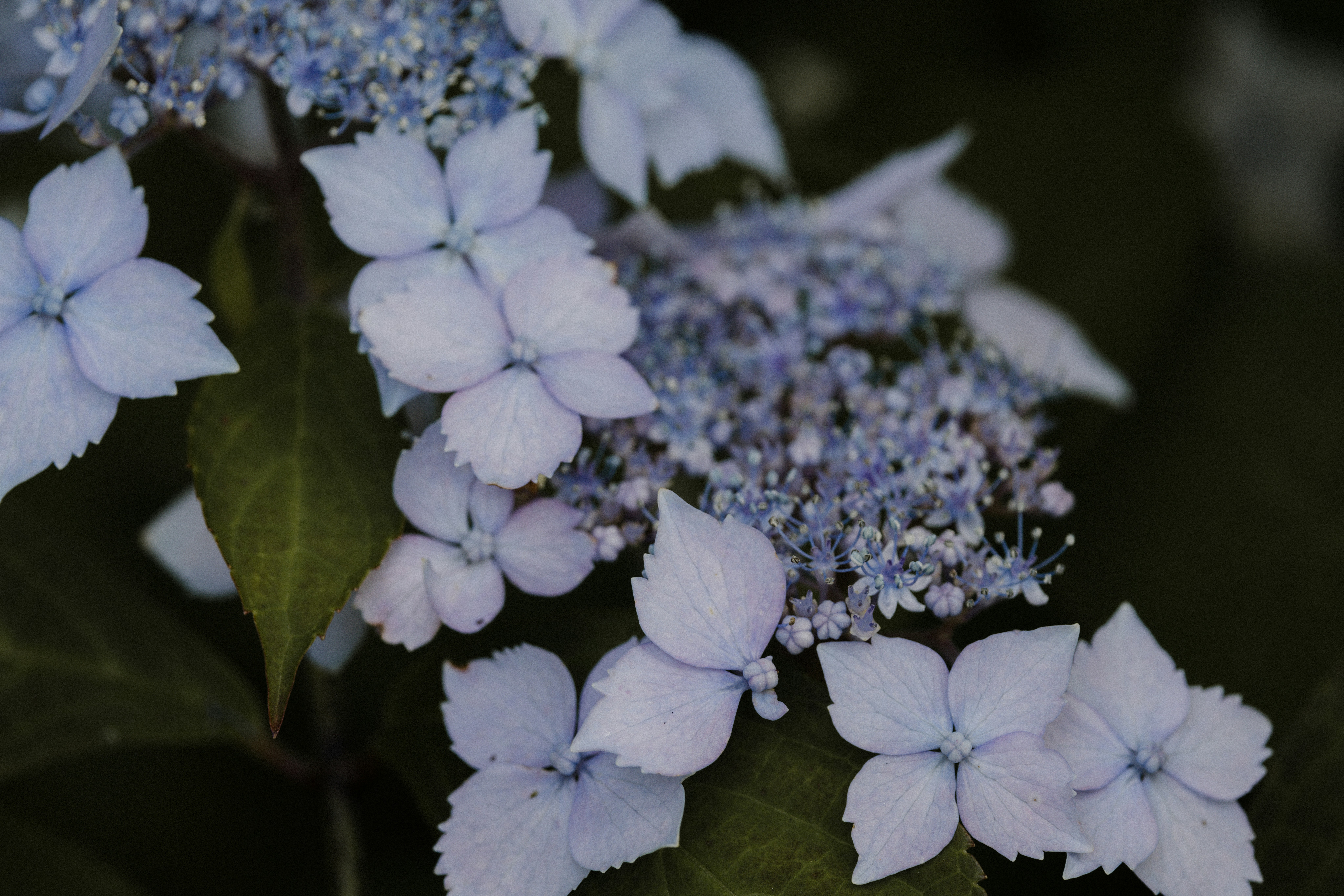 Photo by anniespratt