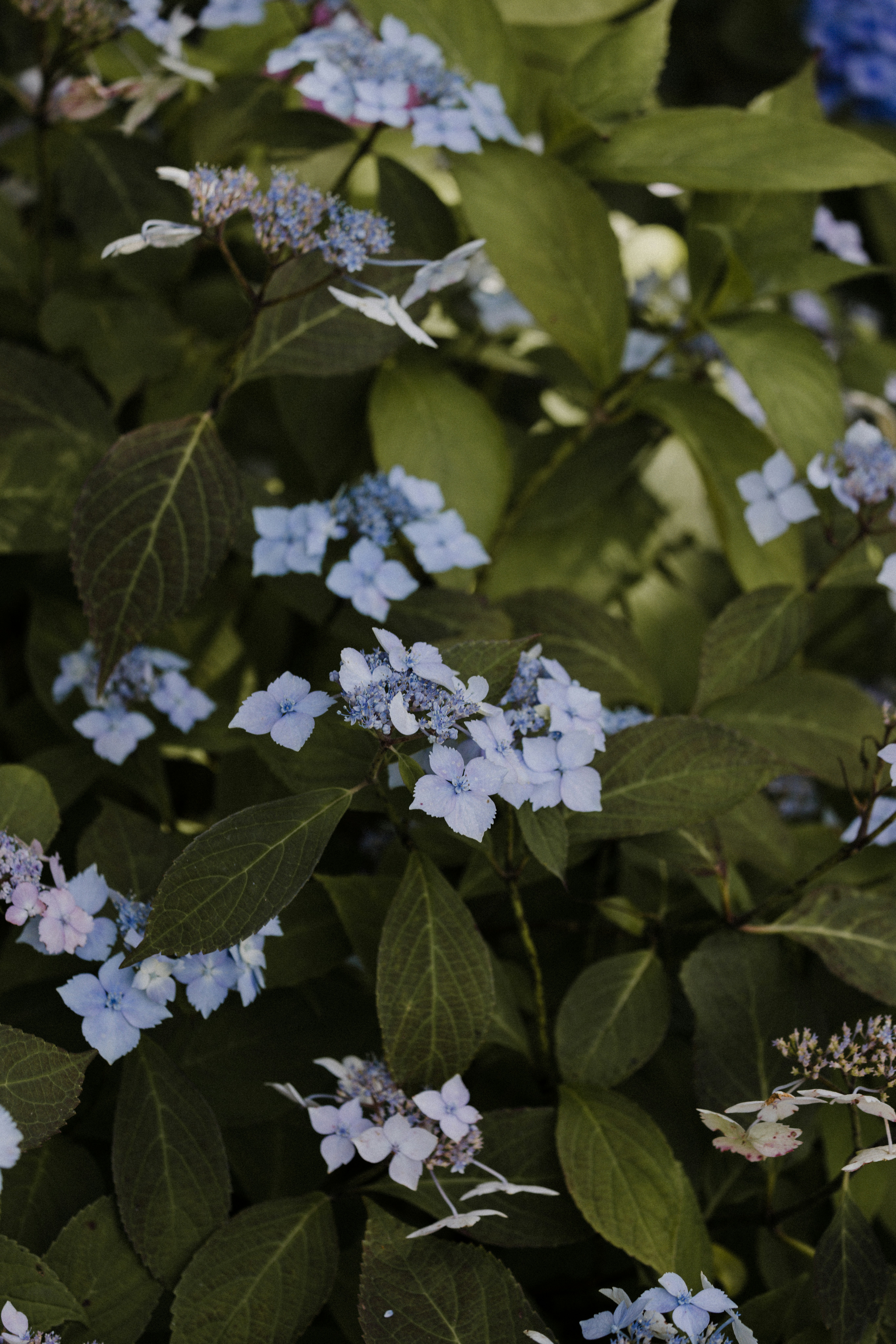 Photo by anniespratt