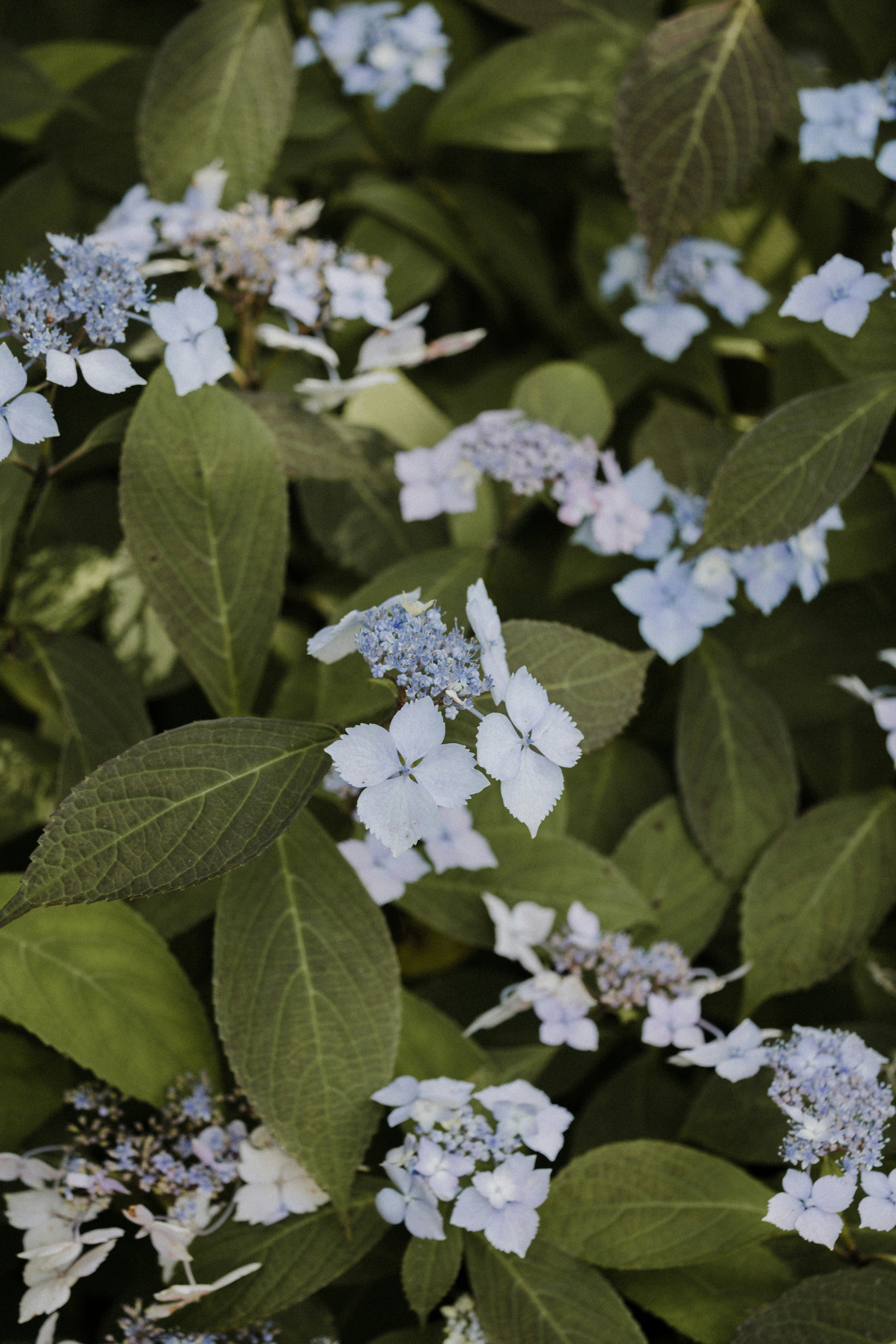 Photo by anniespratt