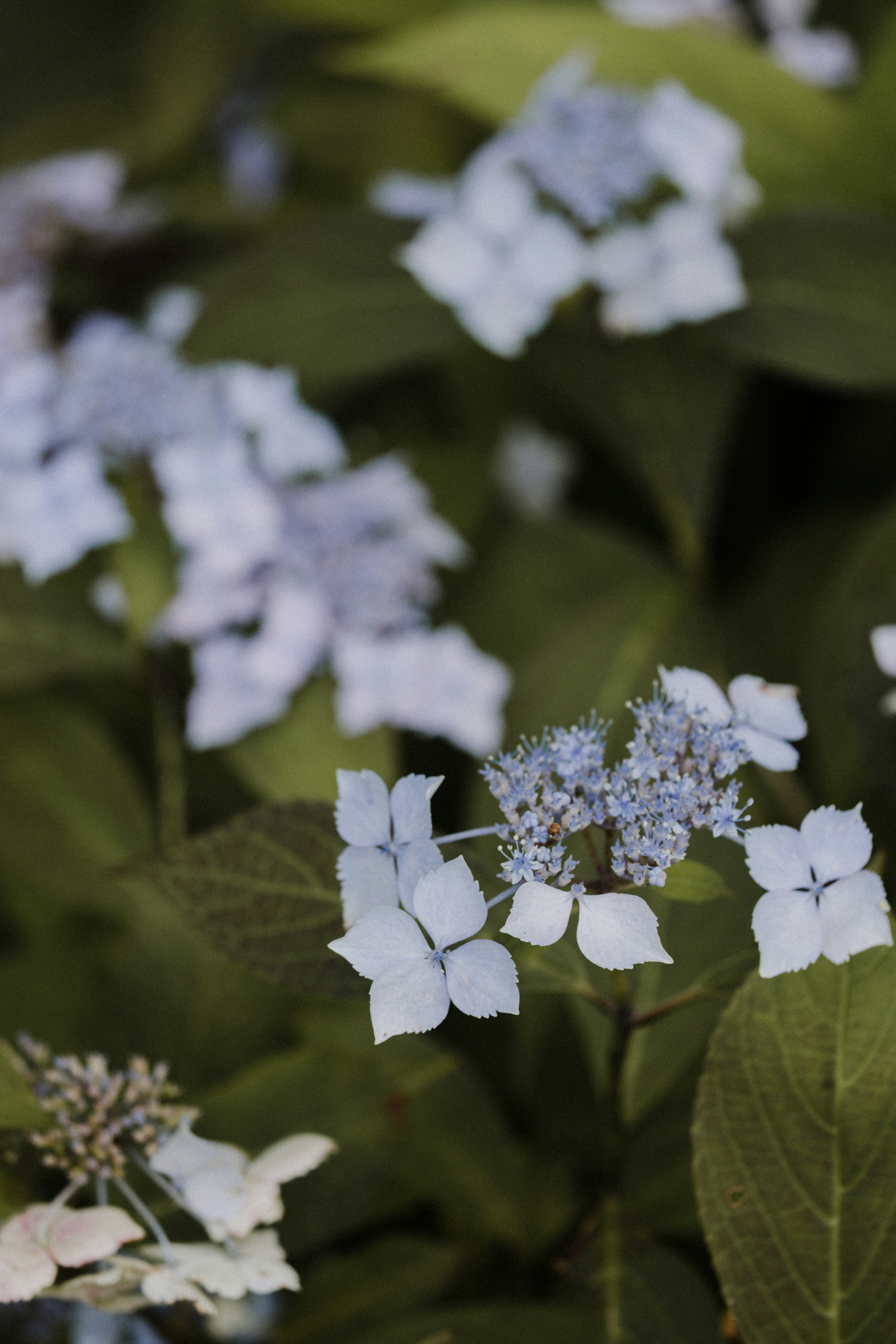 Photo by anniespratt