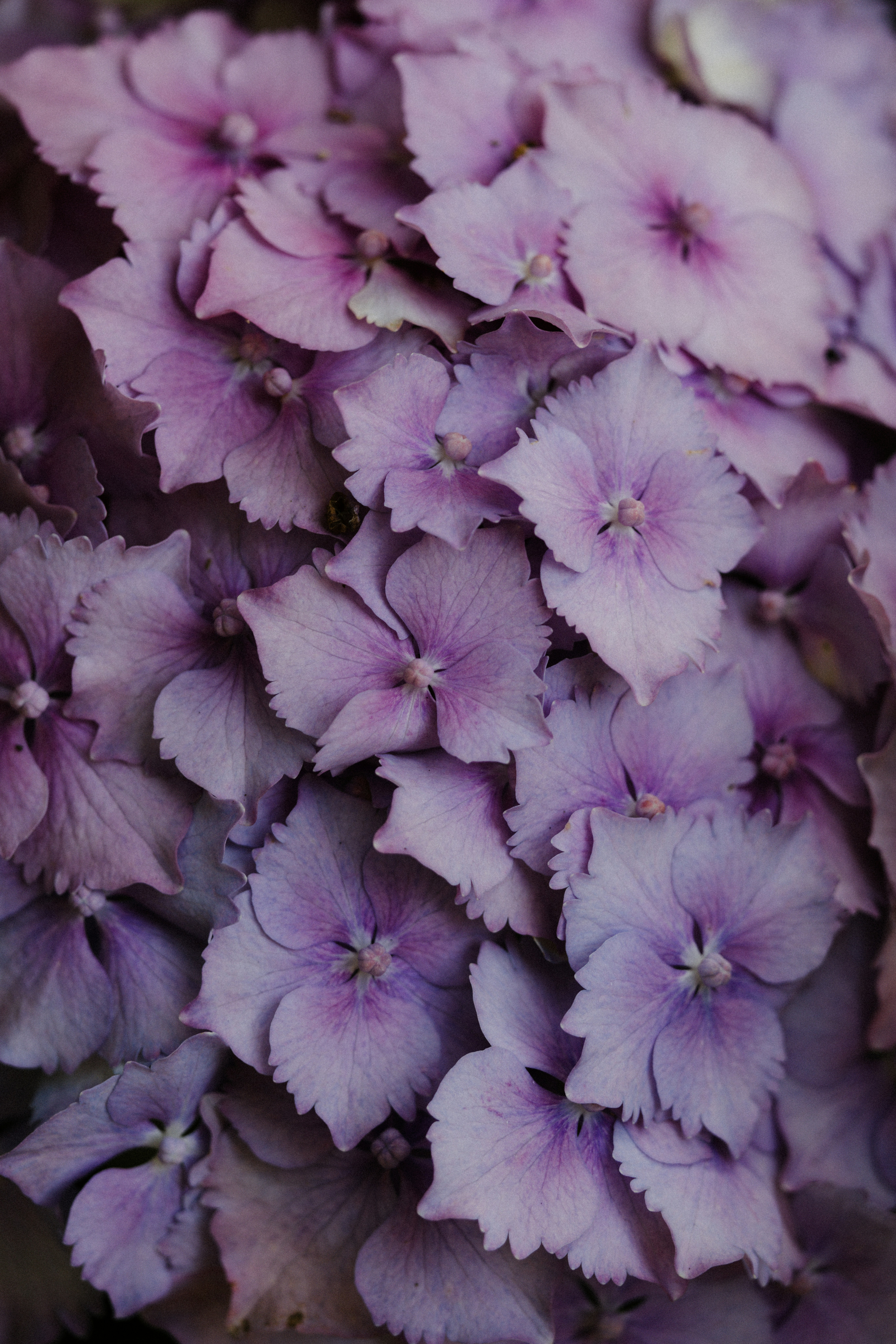 Photo by anniespratt