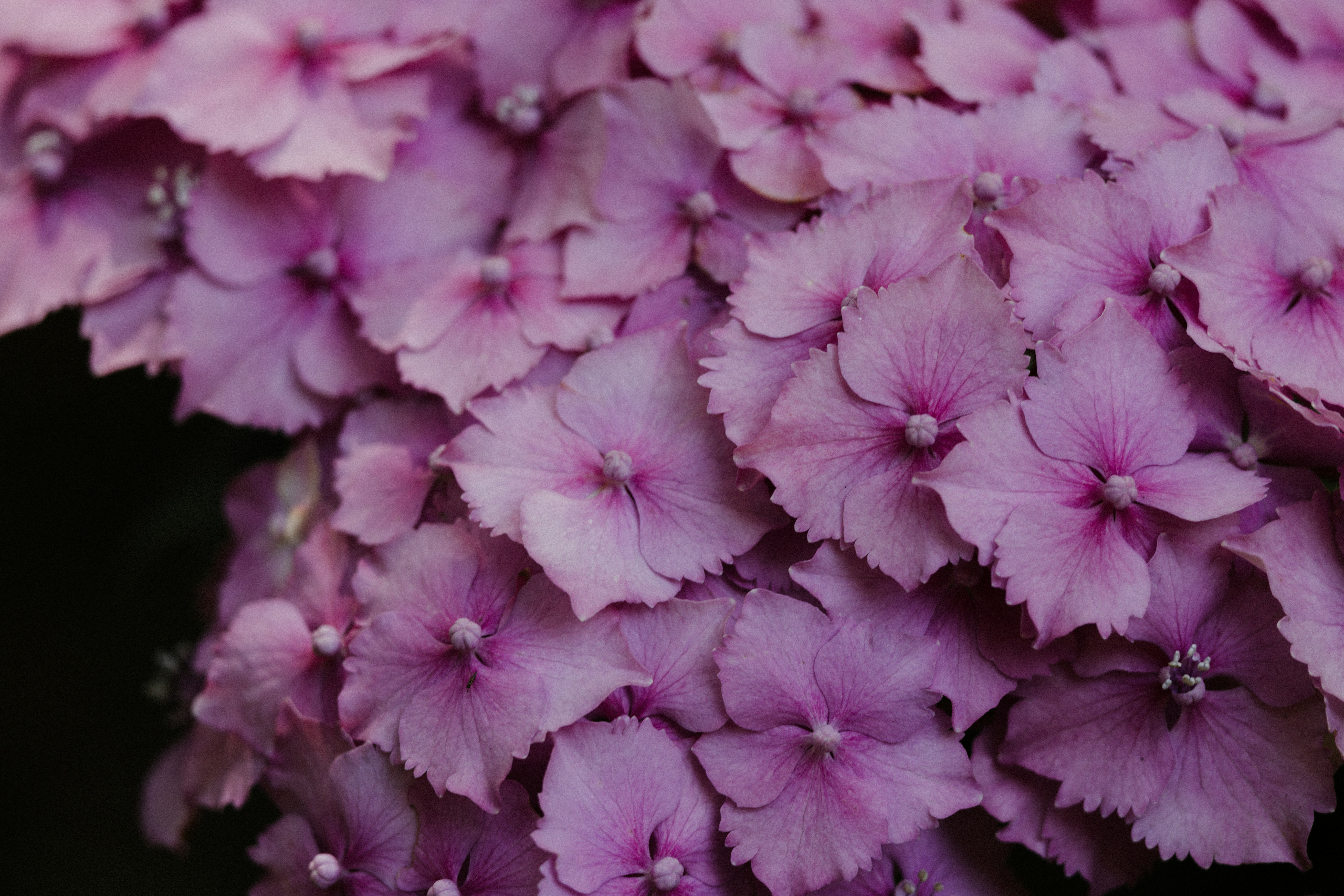 Photo by anniespratt