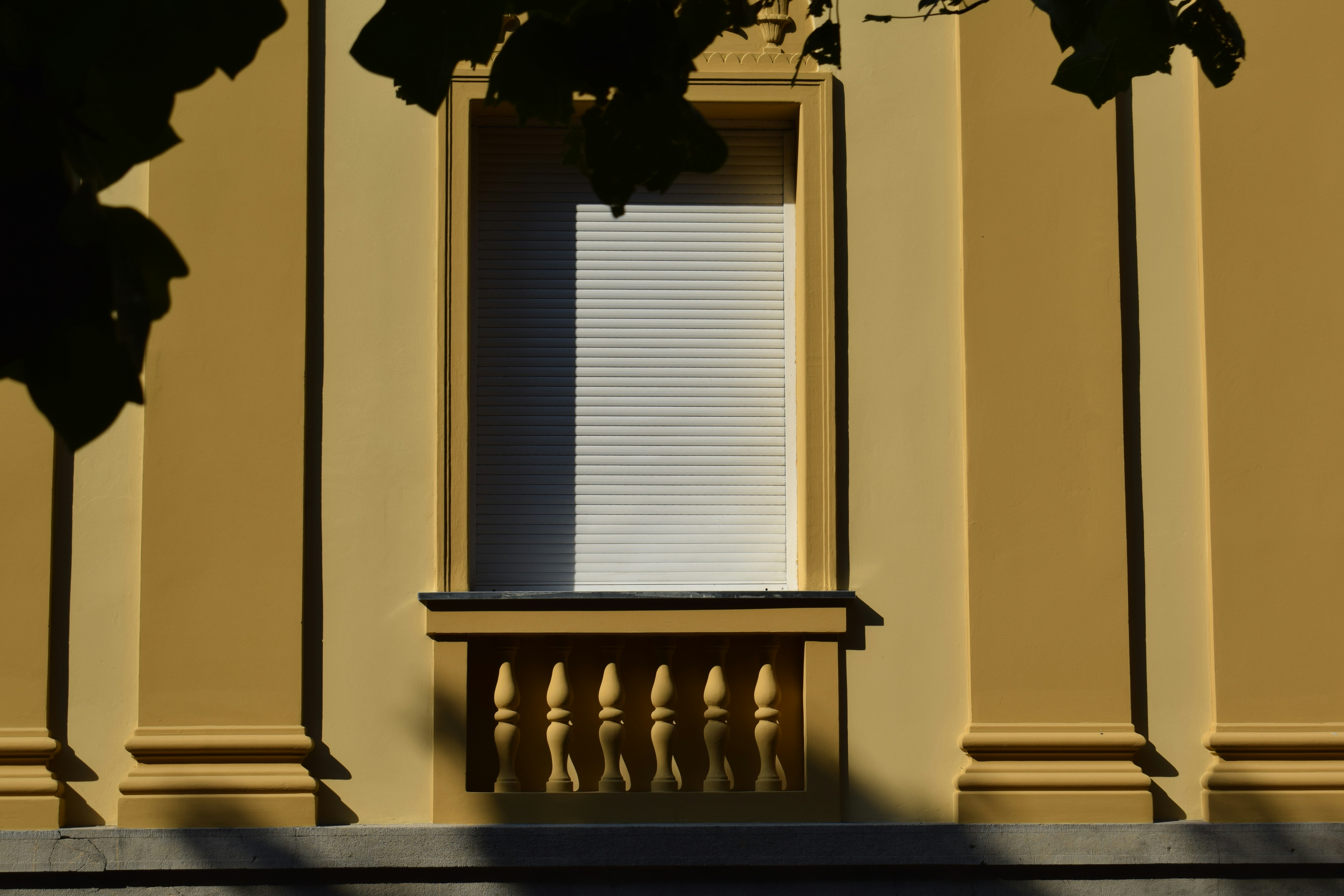 Exterior house painting