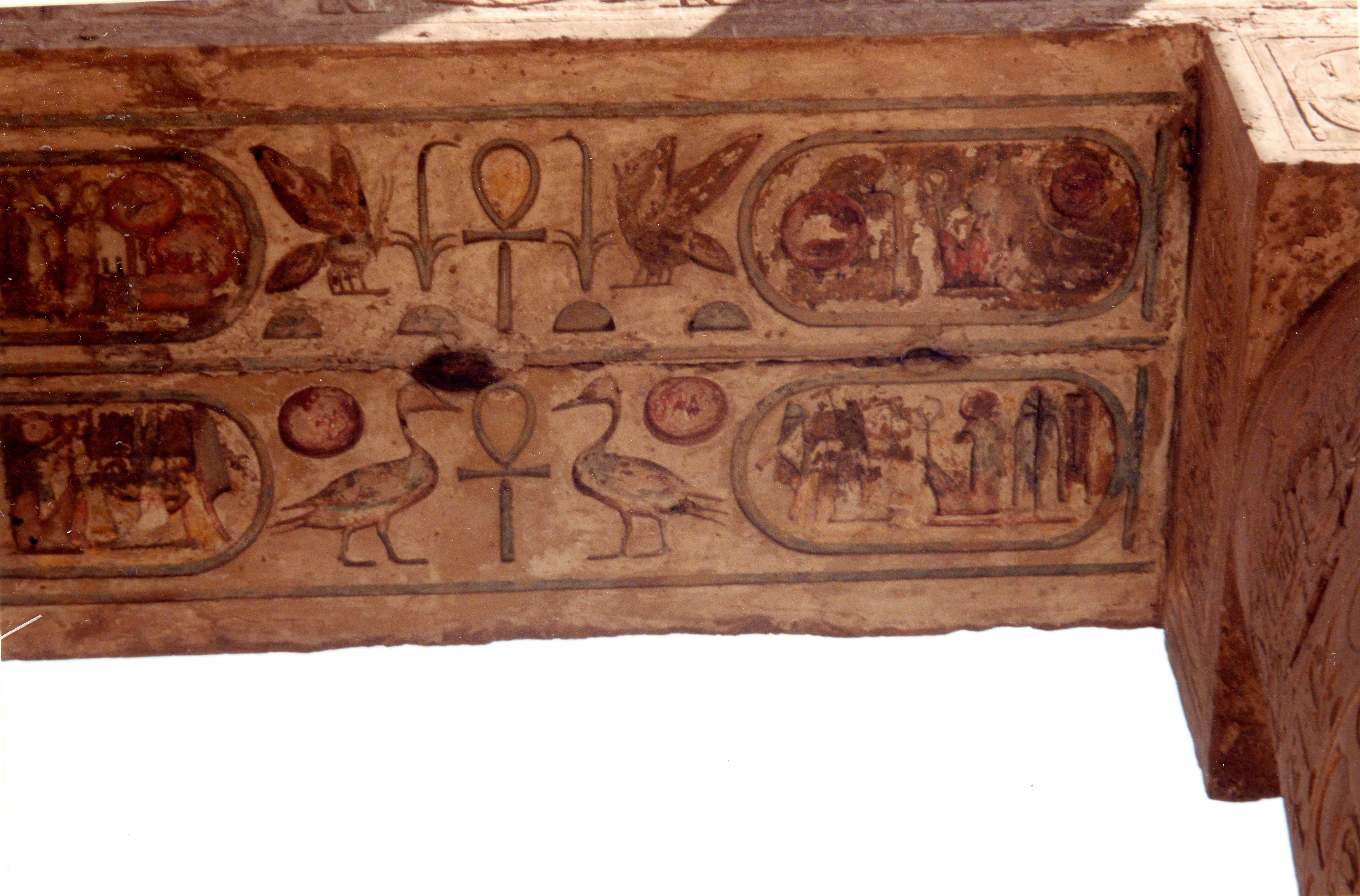 trip gallery picture