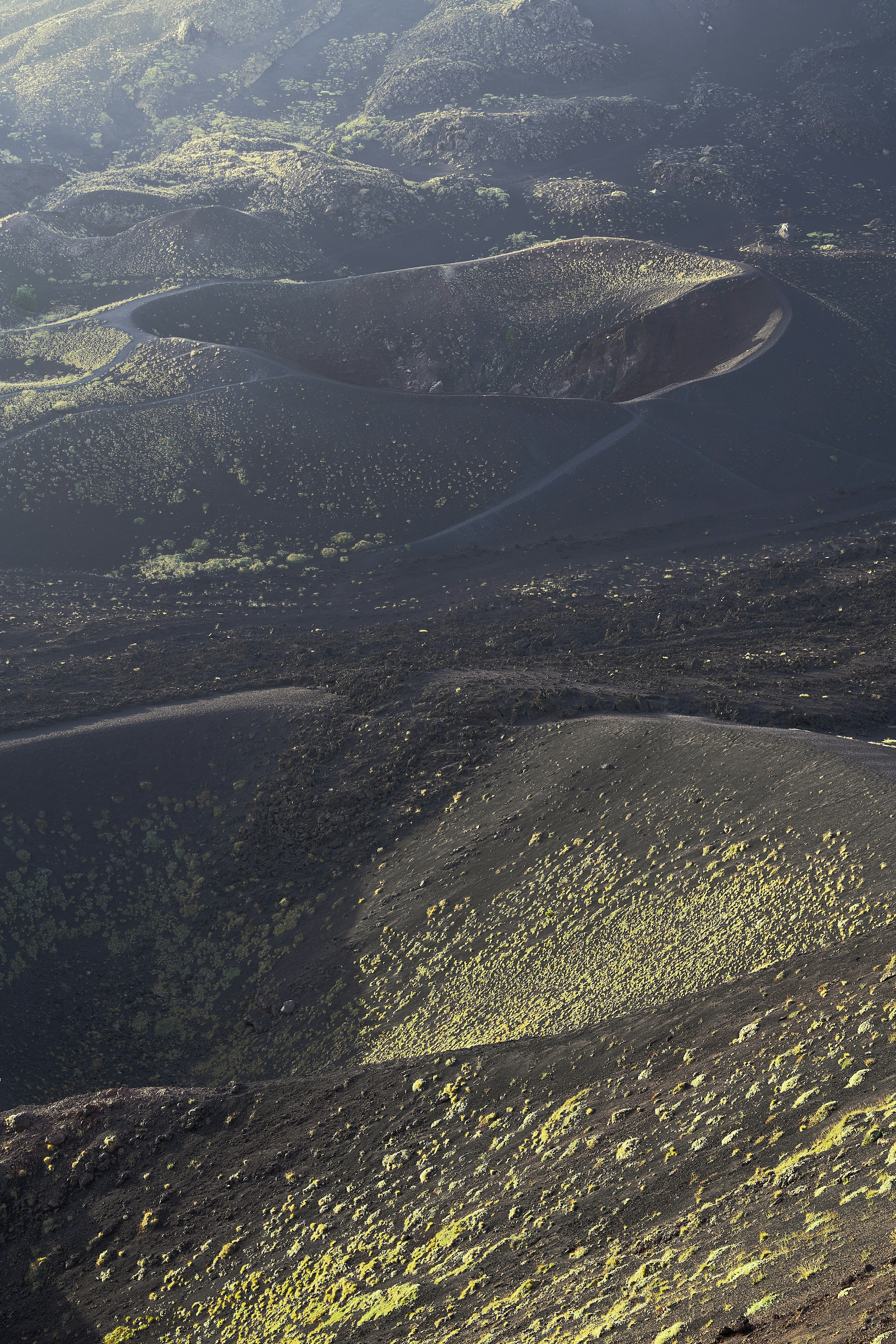 A man riding a horse on top of a lush green hillside