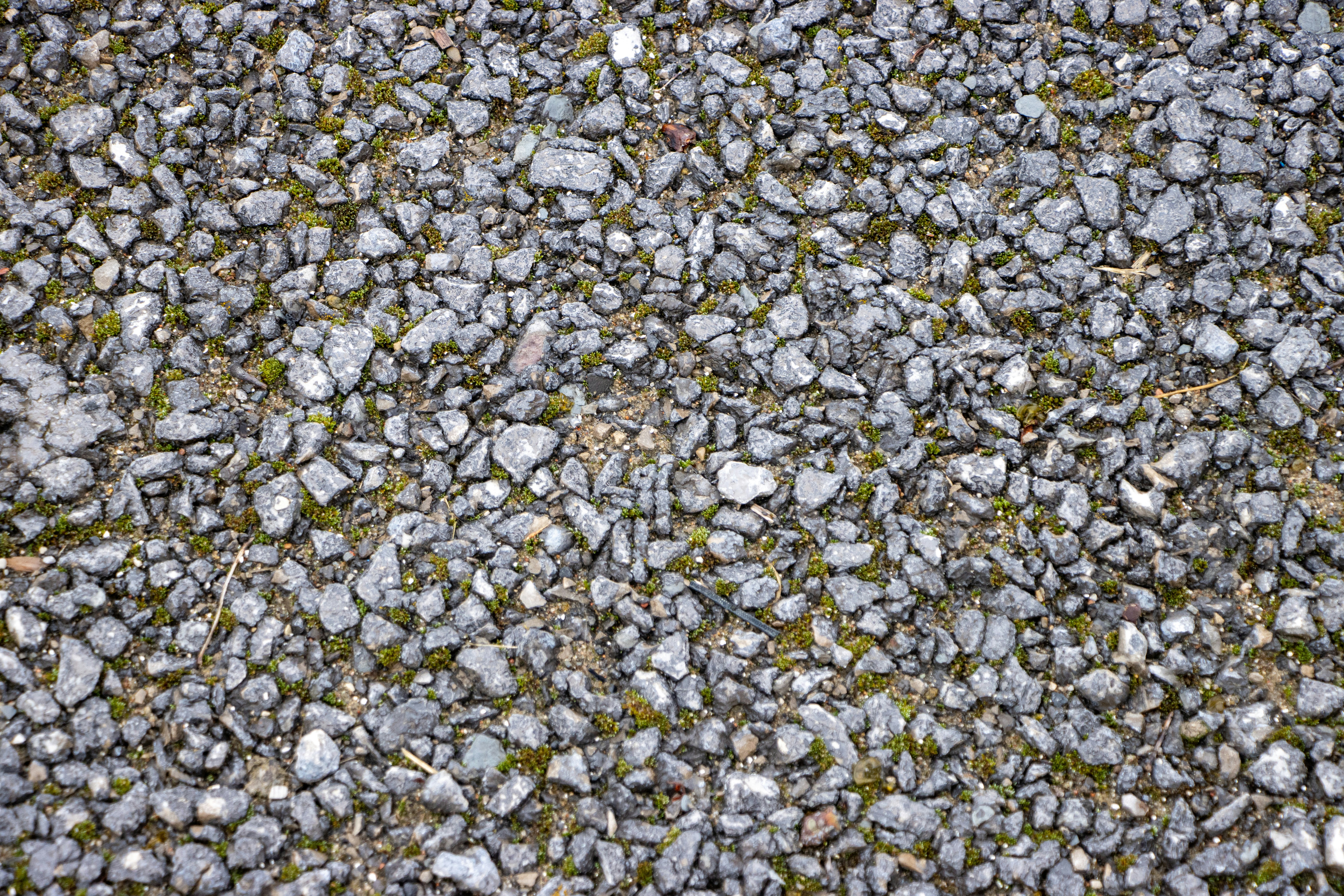 A bunch of rocks that are laying on the ground