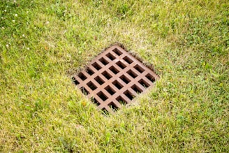A drain in the grass with a hole in it