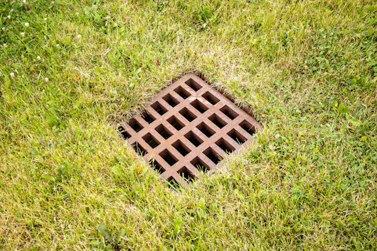 A drain in the grass with a hole in it