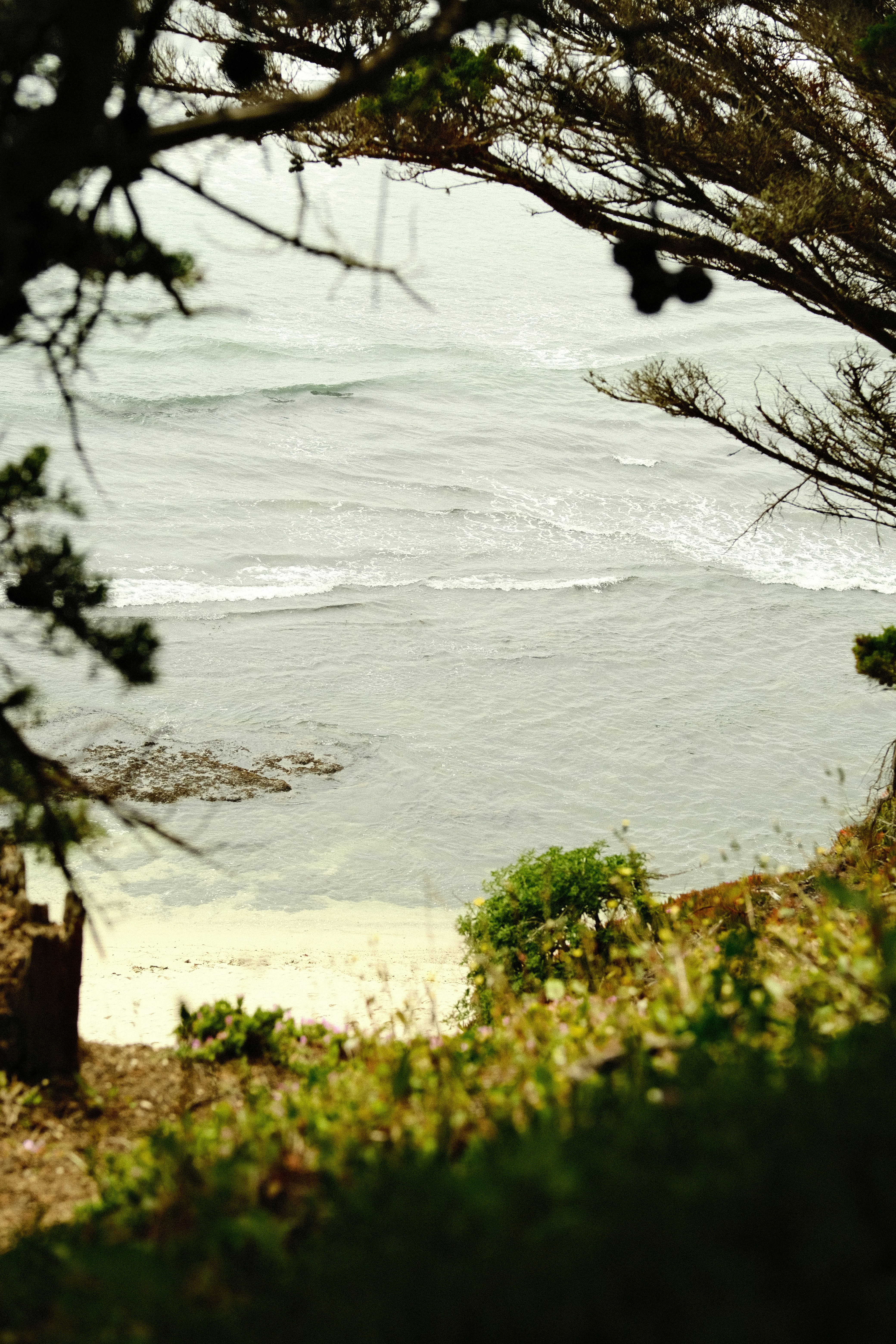 Photo by jacobmitani12