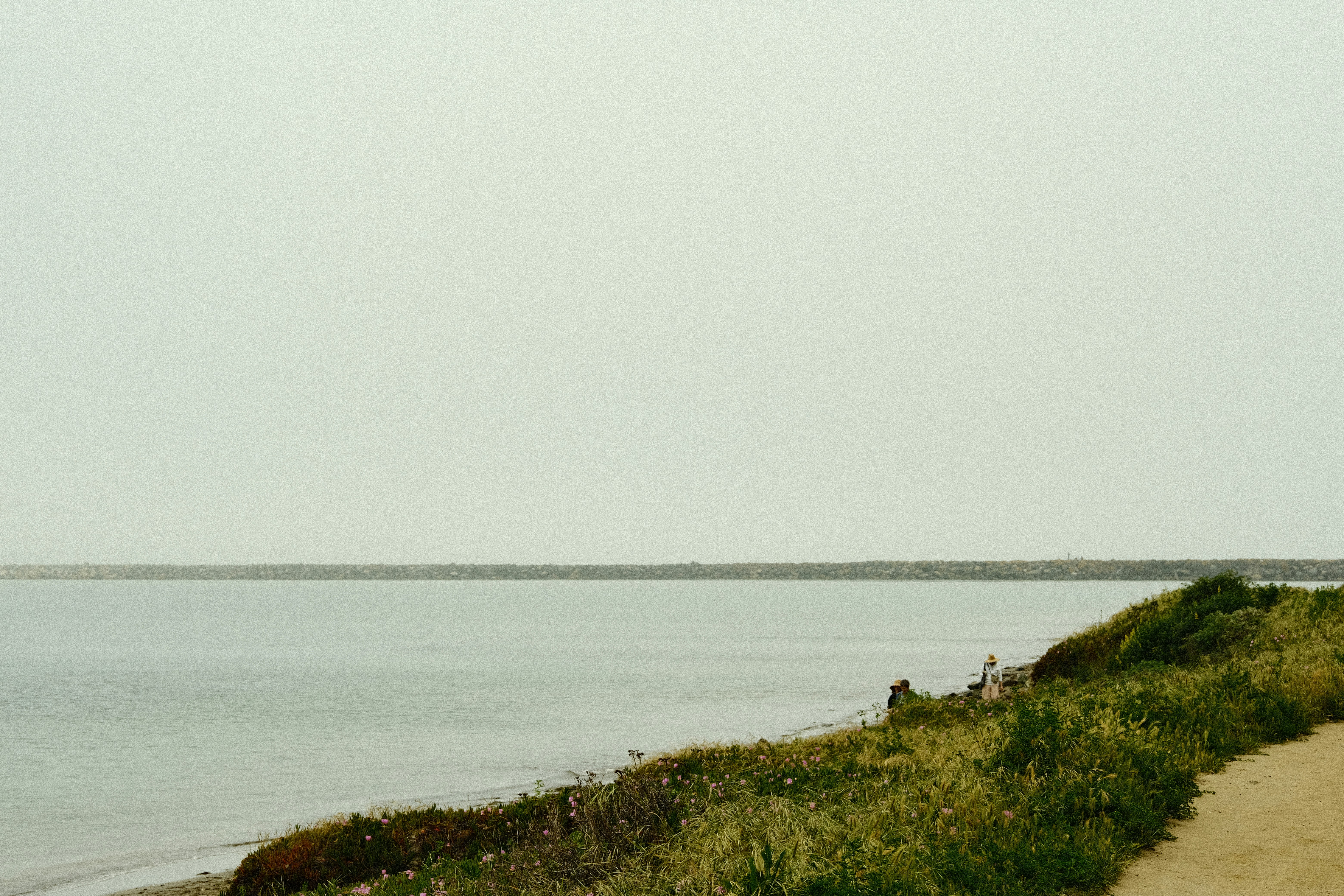 Photo by jacobmitani12