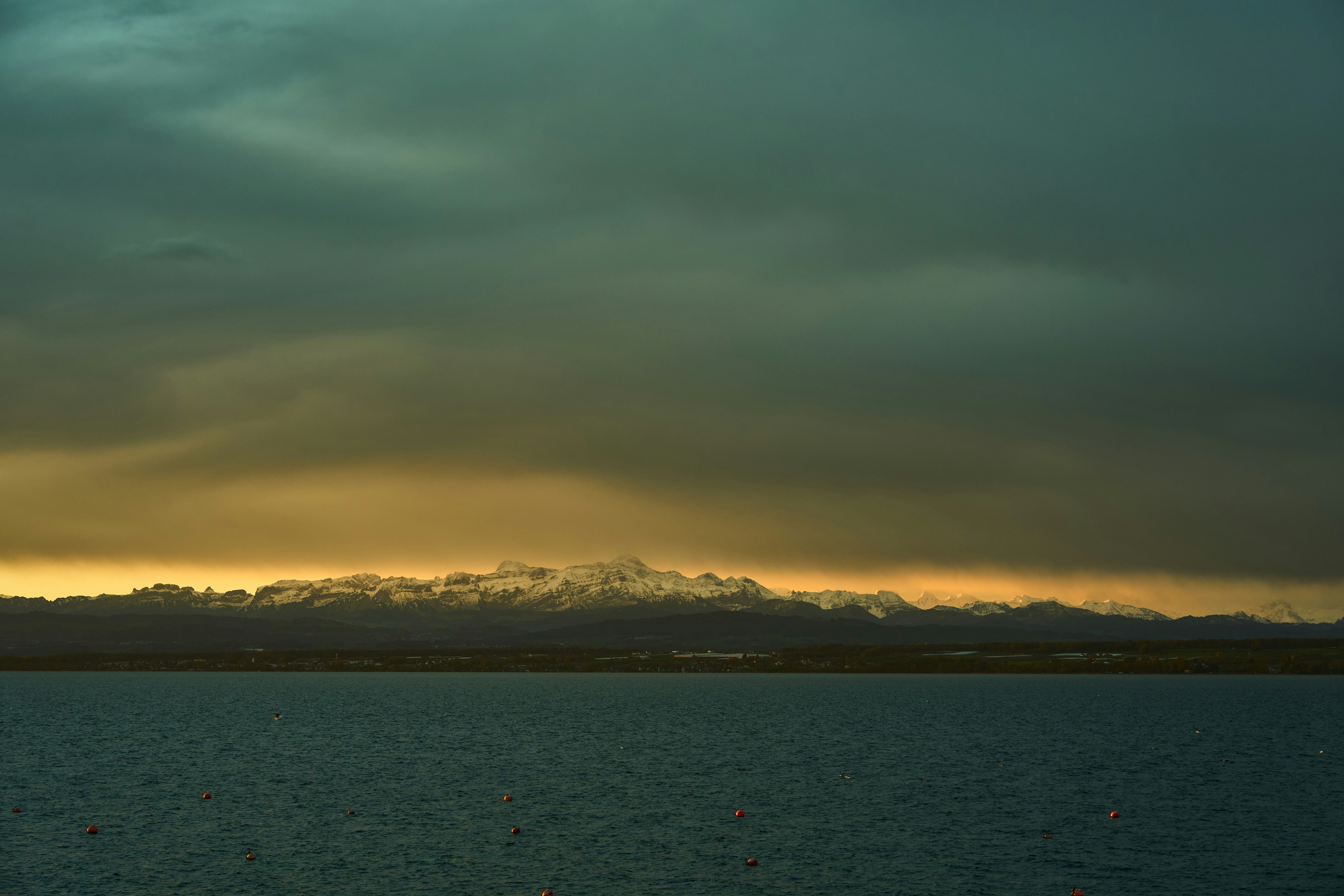 Photo by wolfgang_hasselmann