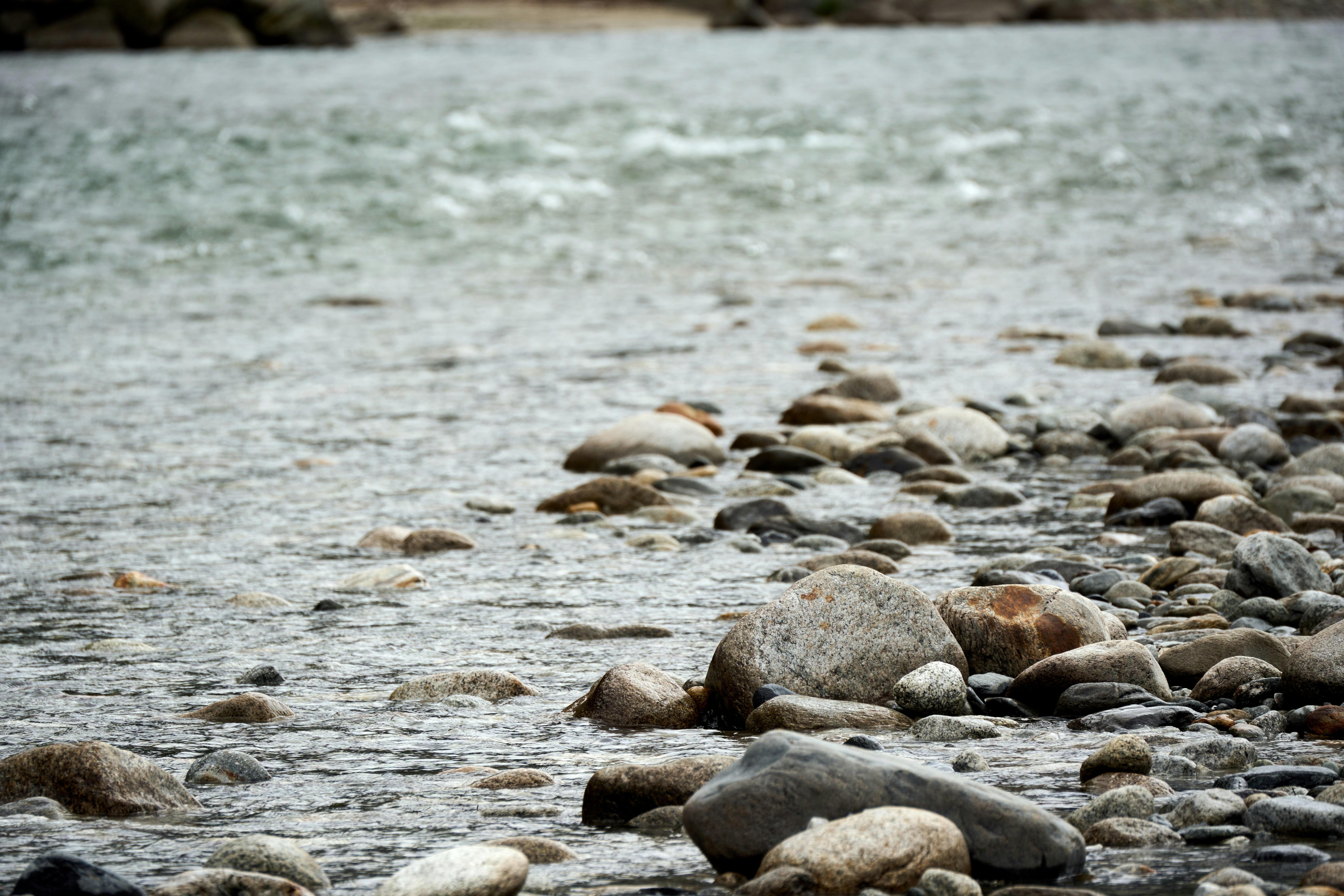 Photo by wolfgang_hasselmann