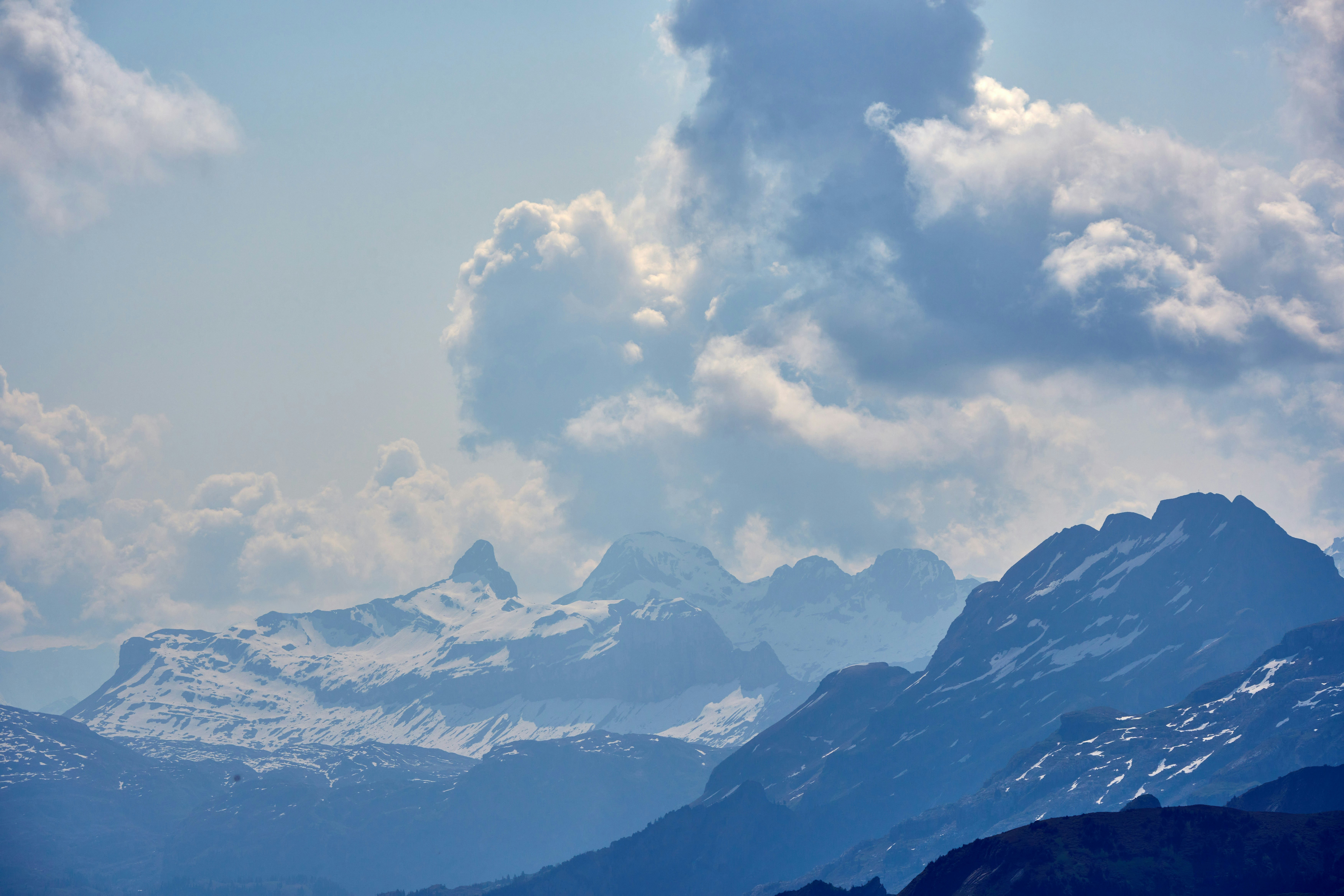 Photo by wolfgang_hasselmann