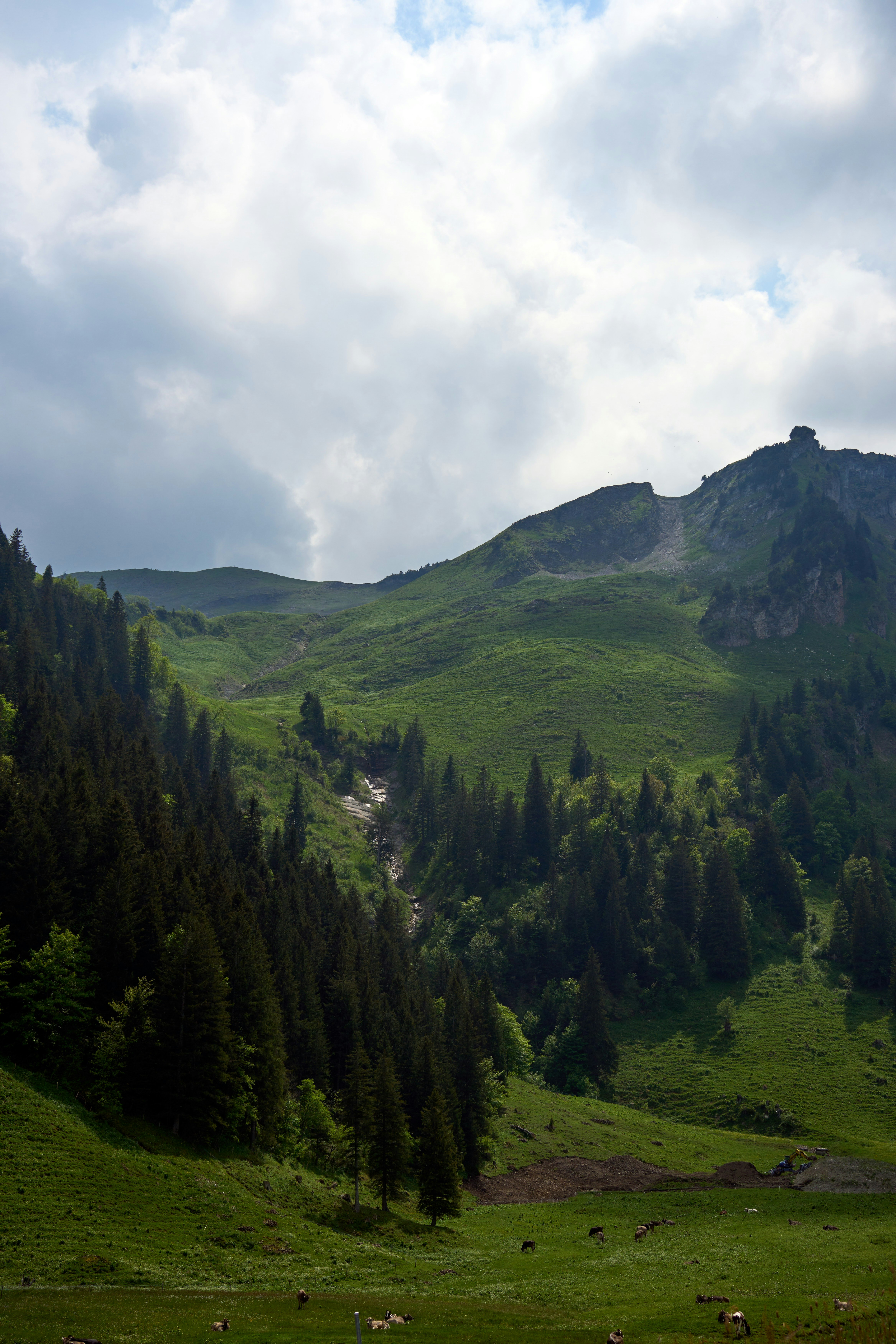 Photo by wolfgang_hasselmann