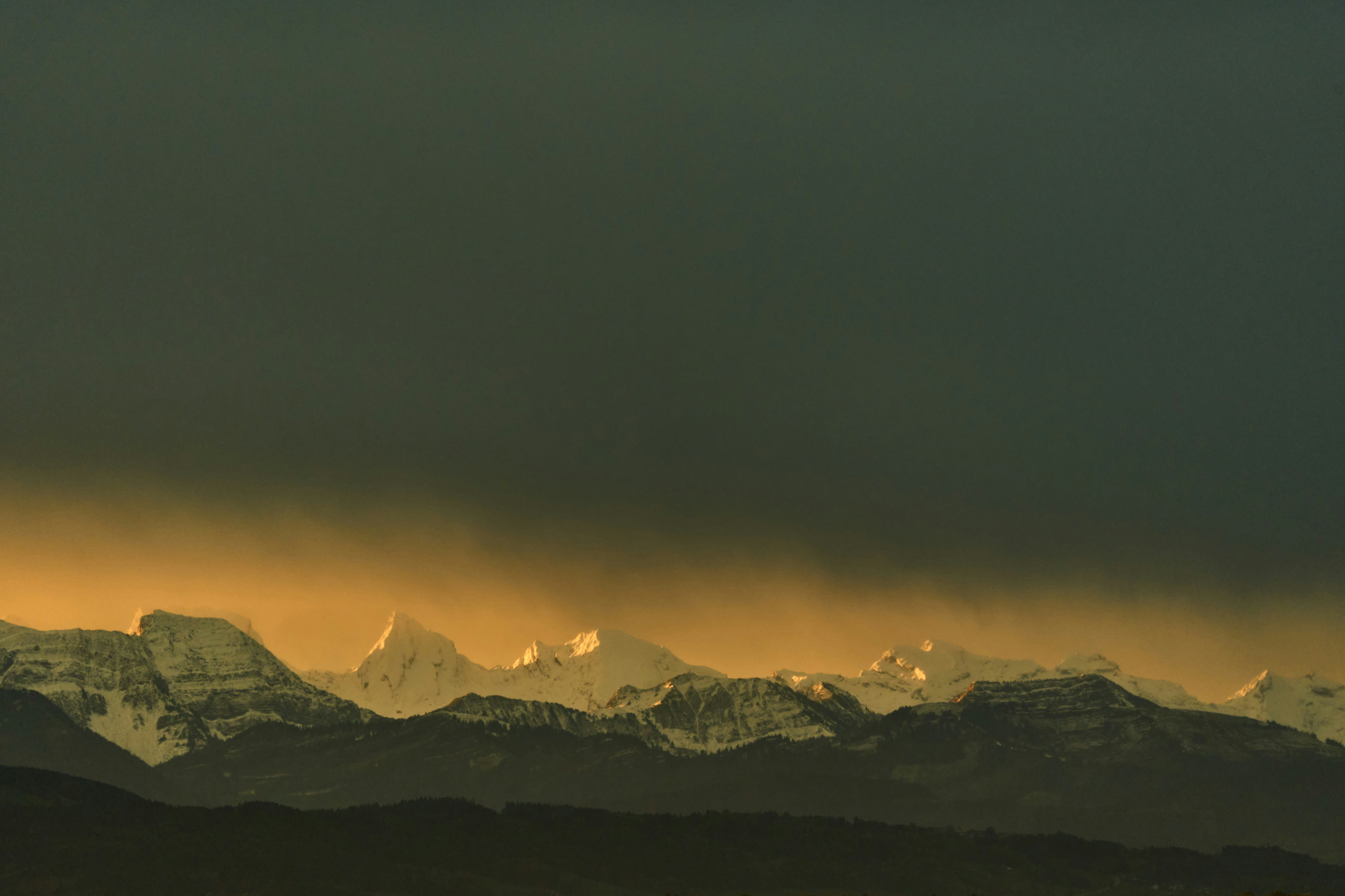 Photo by wolfgang_hasselmann